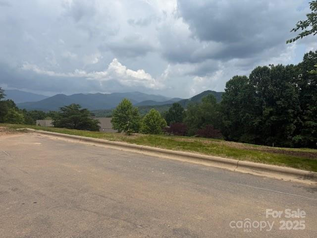 68 Cottage Settings Lane #290 - Photo 4