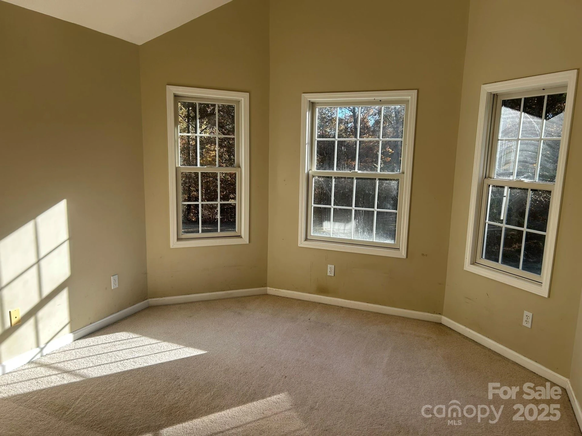 207 Wagon Lane - Photo 30
