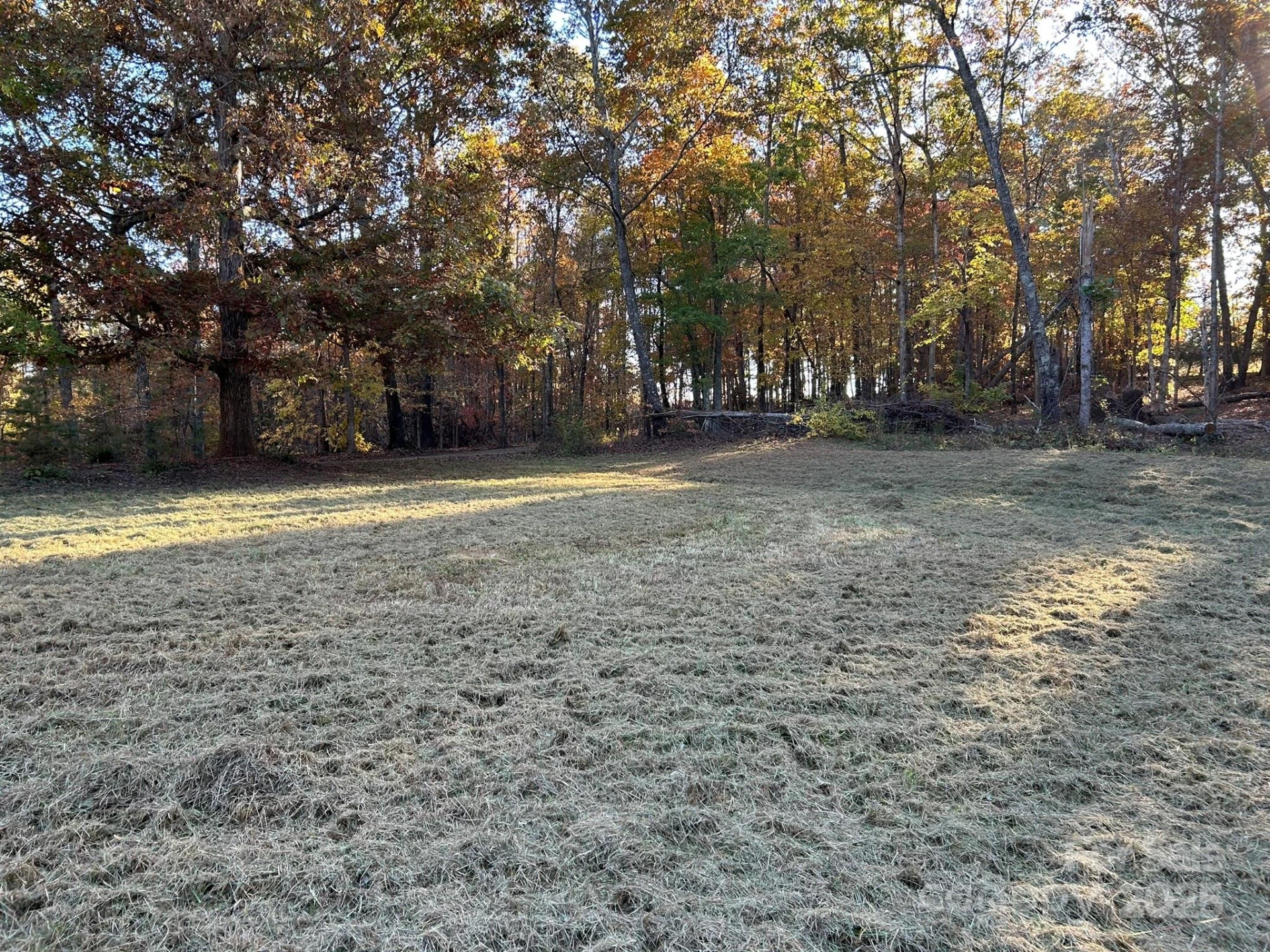207 Wagon Lane - Photo 43
