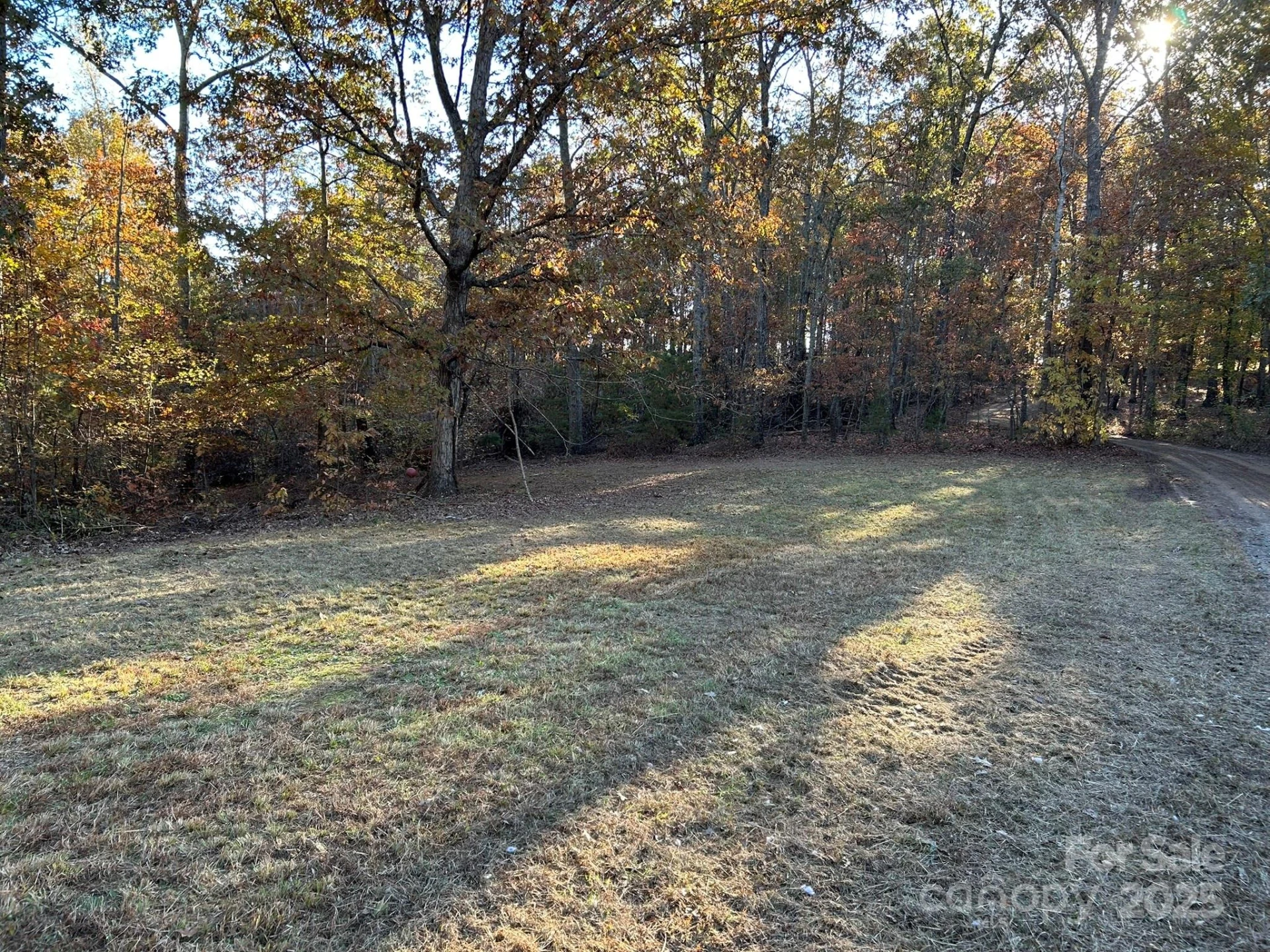 207 Wagon Lane - Photo 44