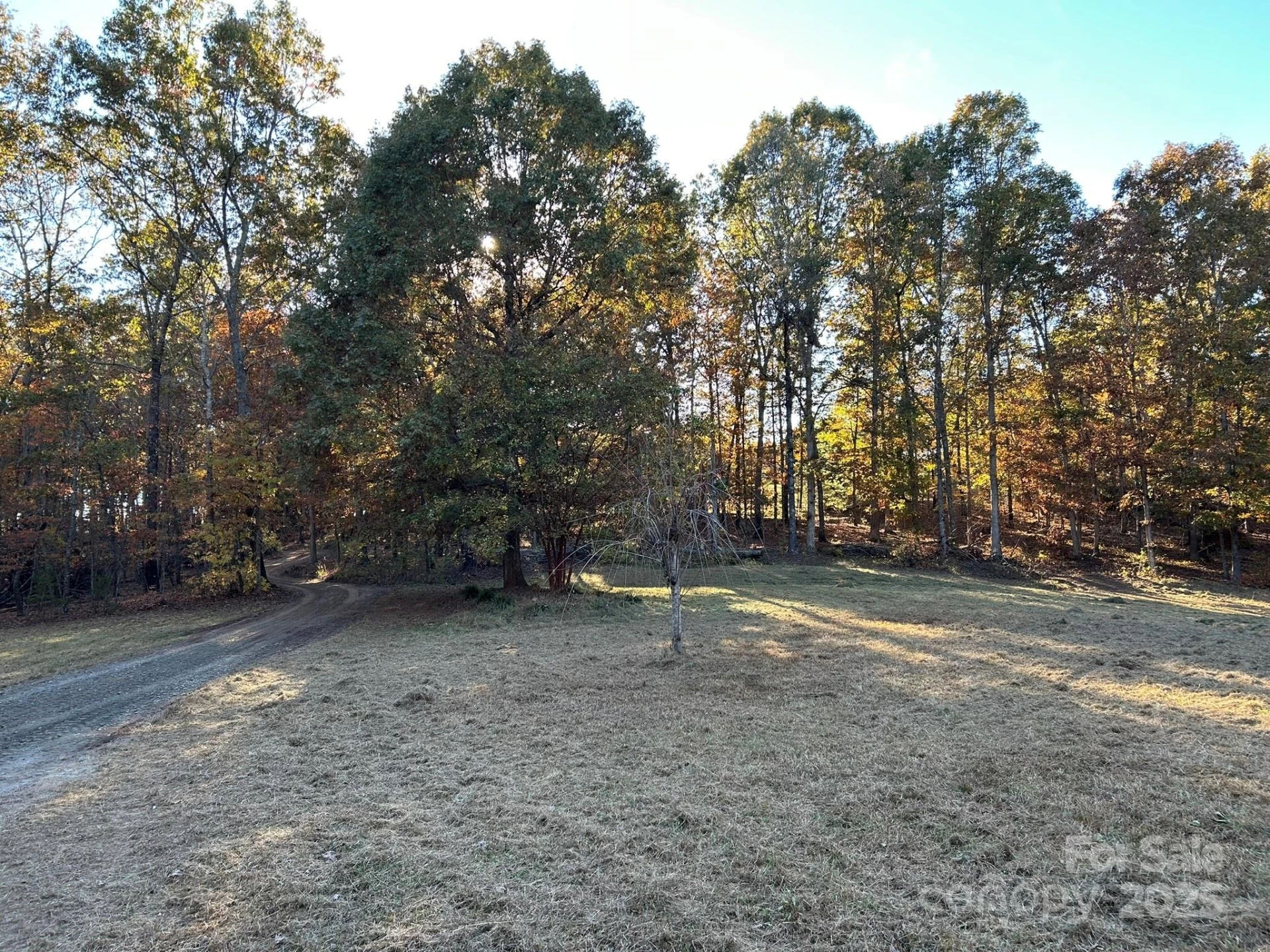 207 Wagon Lane - Photo 45