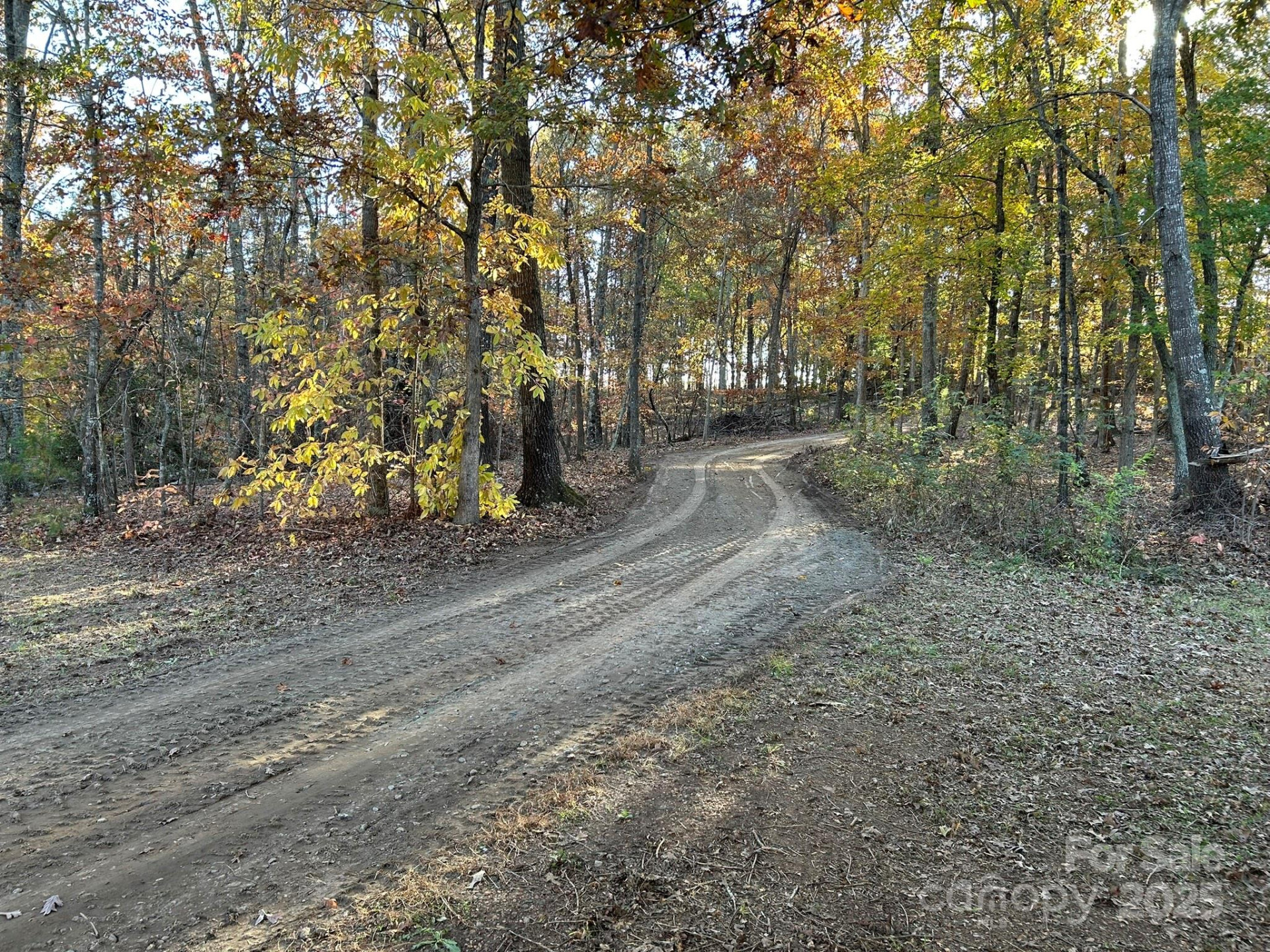 207 Wagon Lane - Photo 47