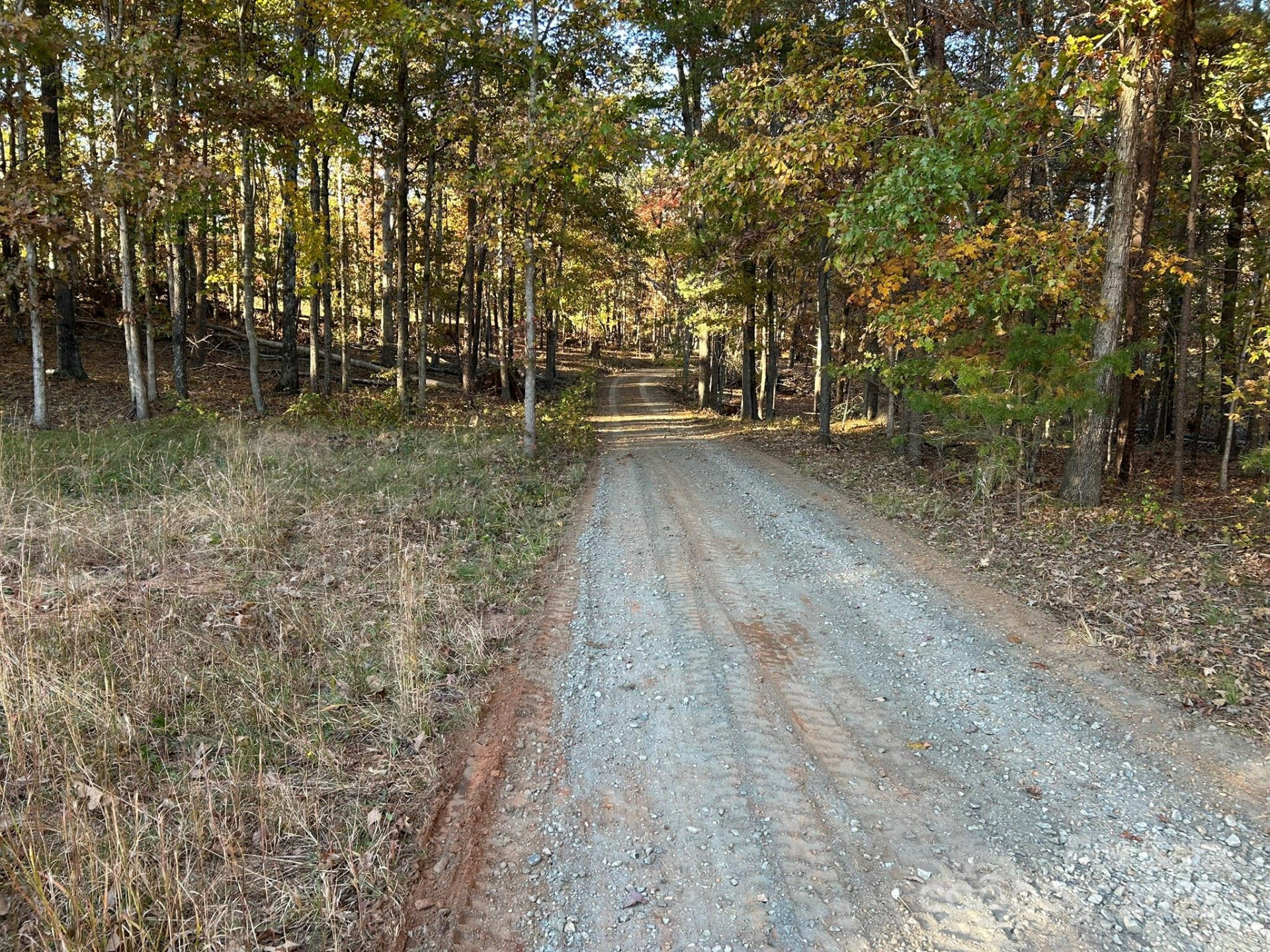 207 Wagon Lane - Photo 48