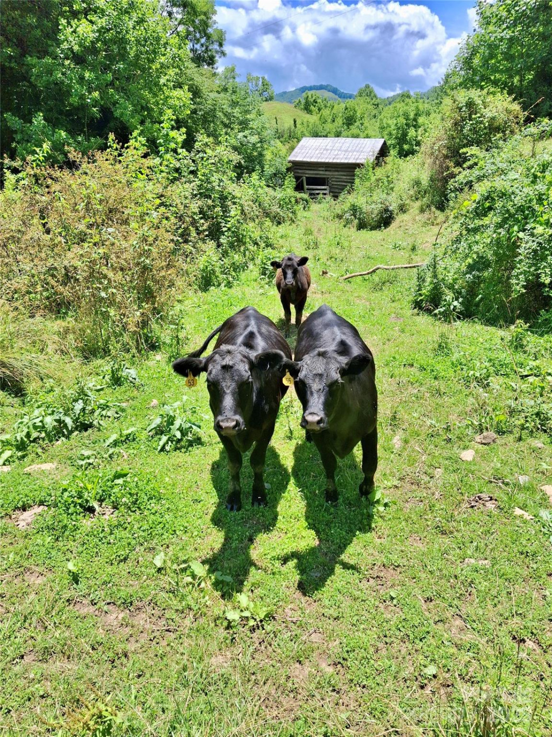 2087 Henry Road - Photo 2