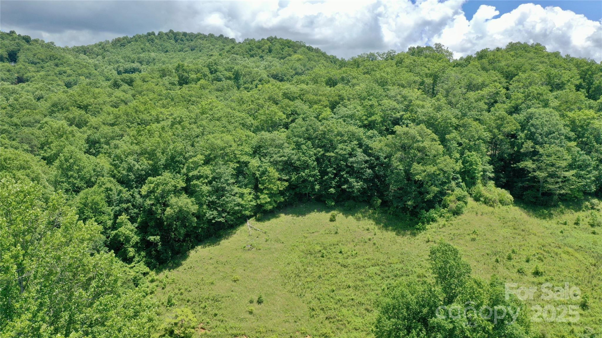 2087 Henry Road - Photo 23