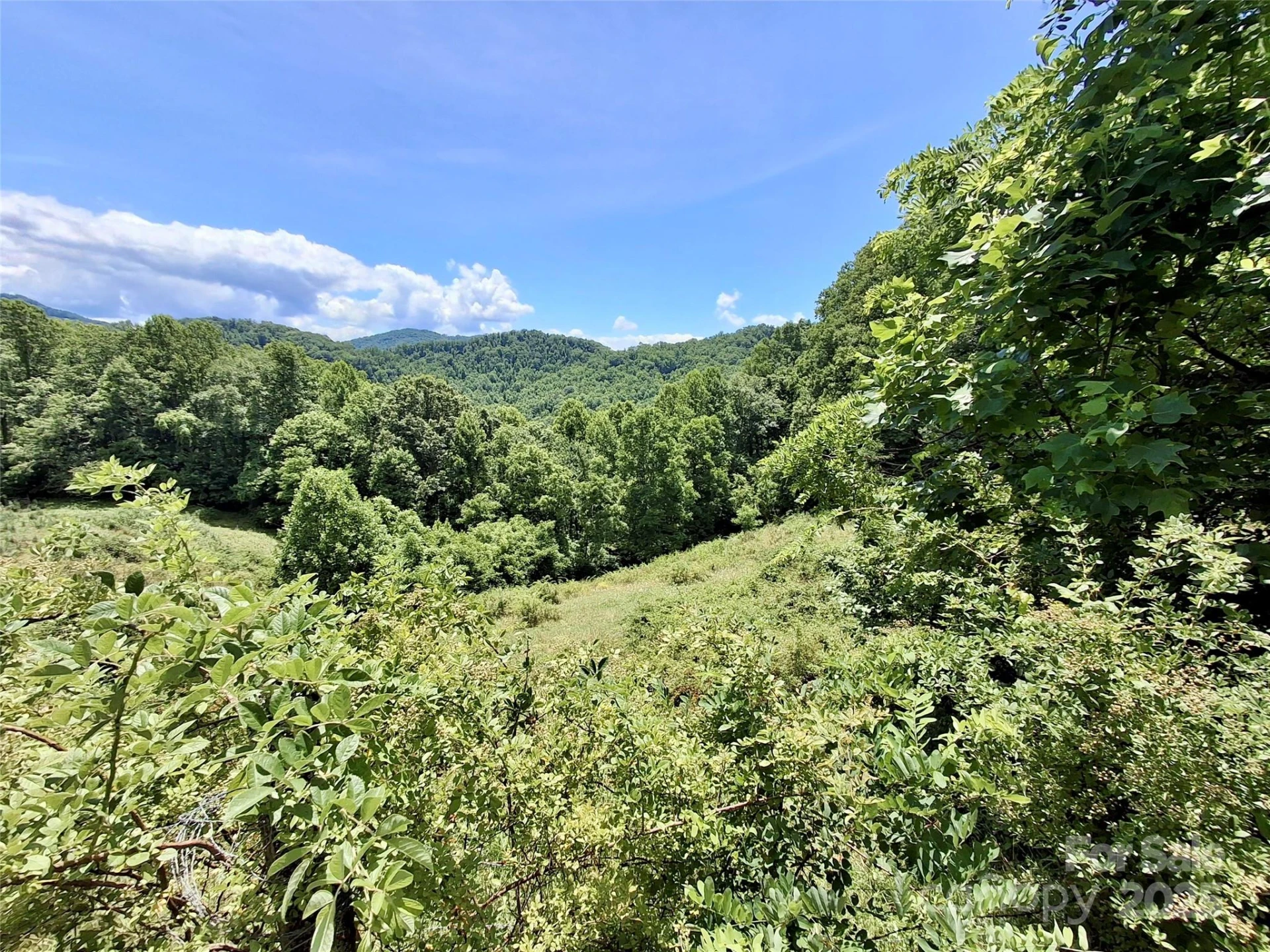 2087 Henry Road - Photo 24