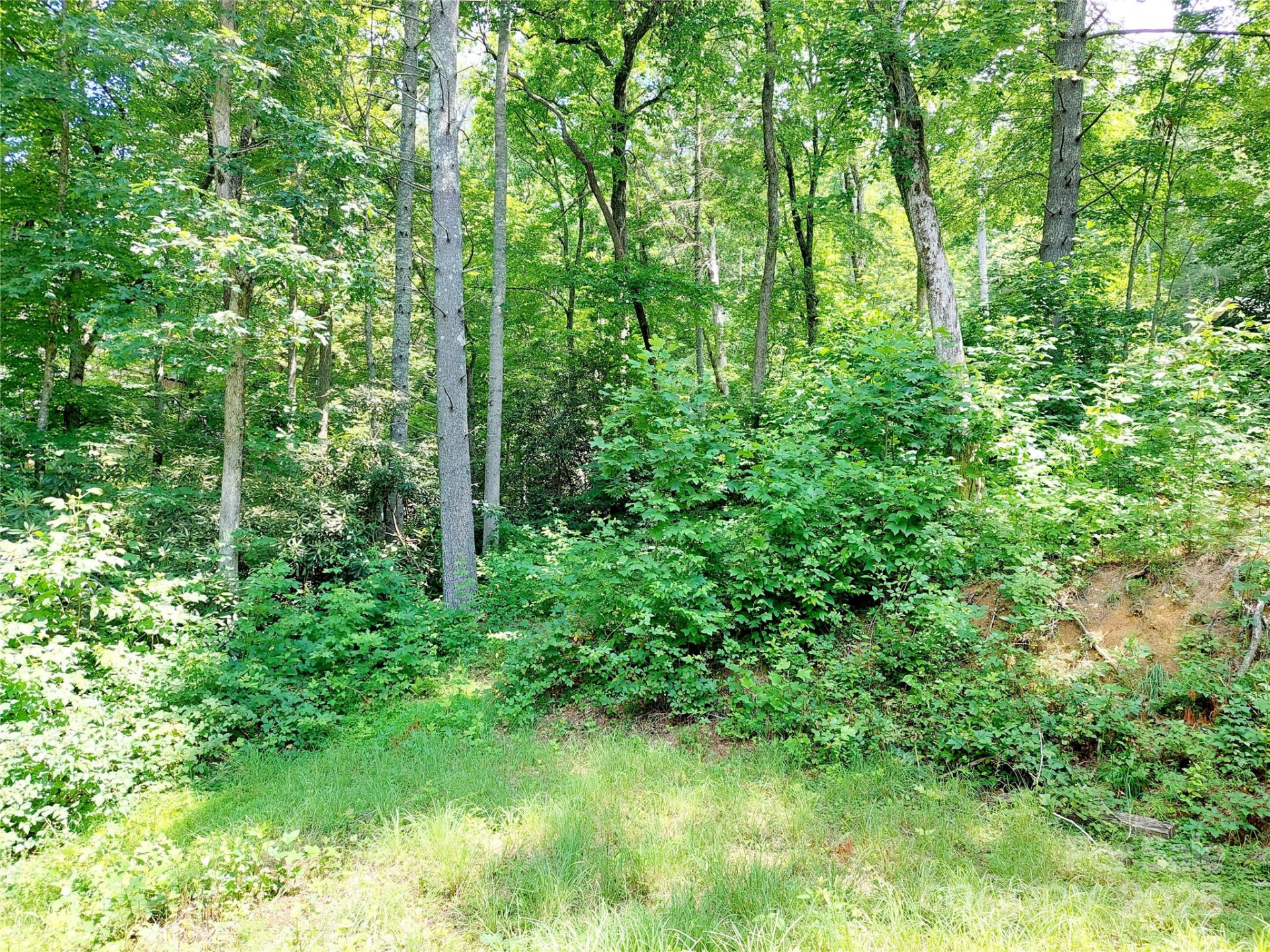 93 Badger Run - Photo 26