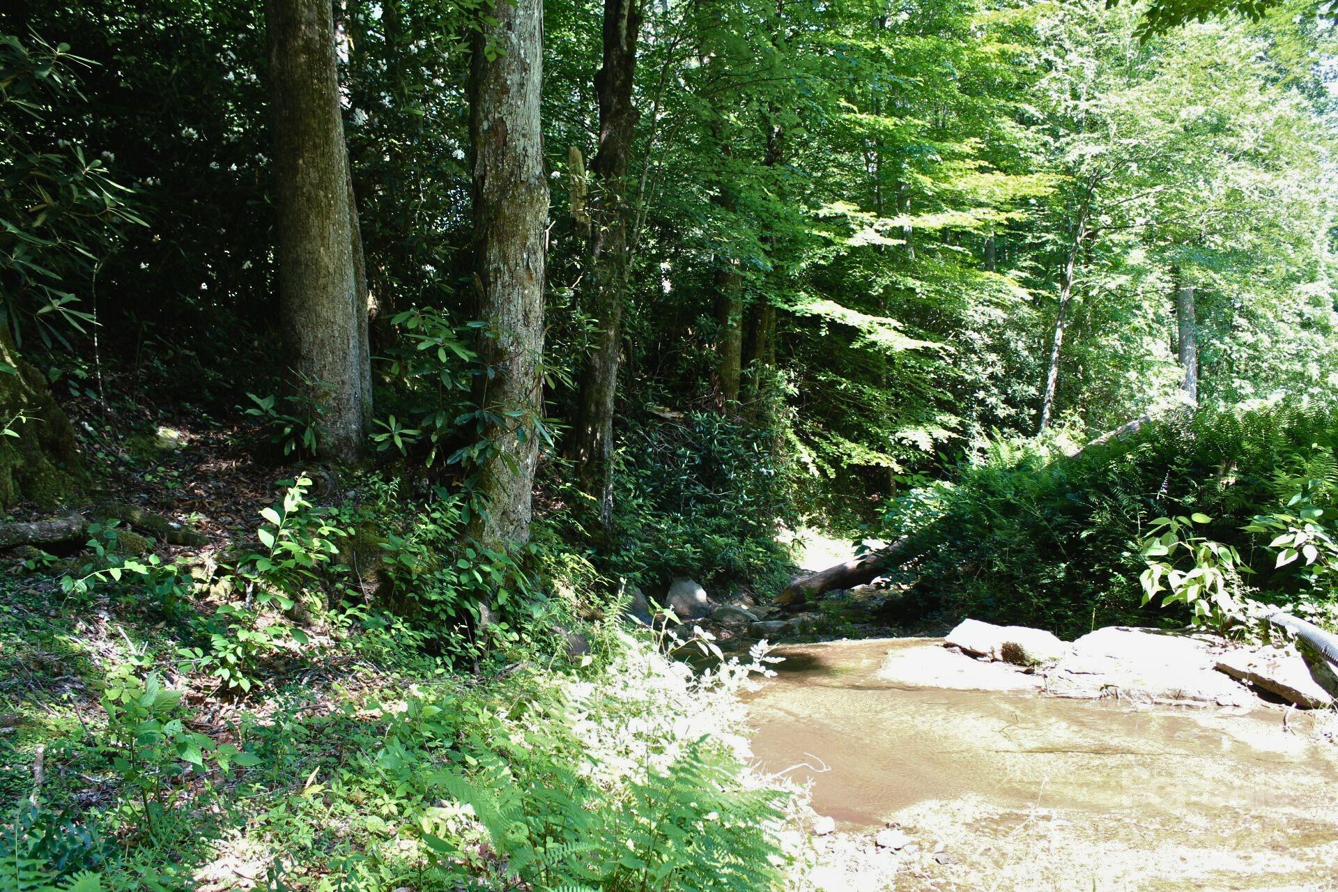 14 Long Branch Road #14 - Photo 2