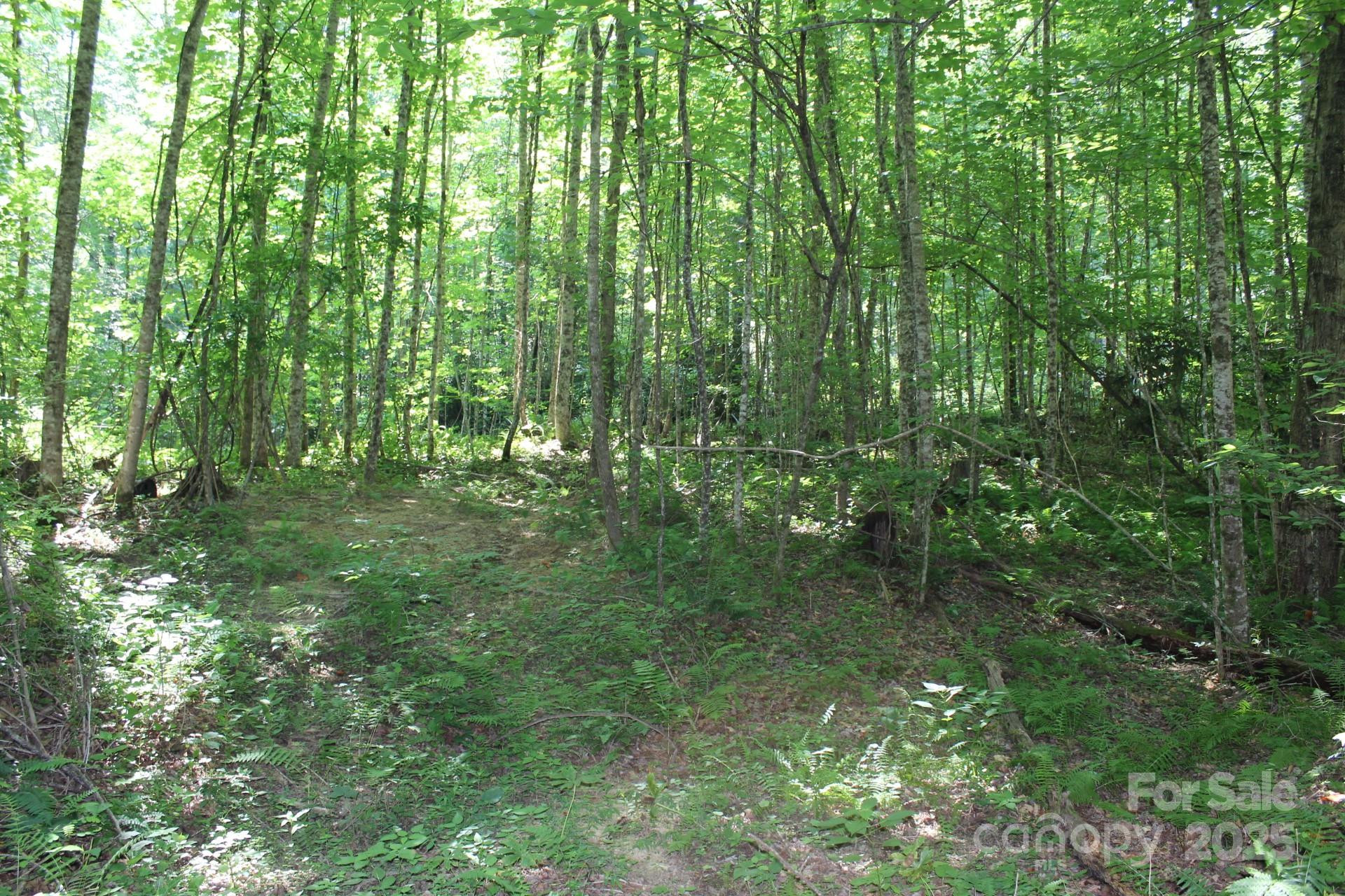 14 Long Branch Road #14 - Photo 12