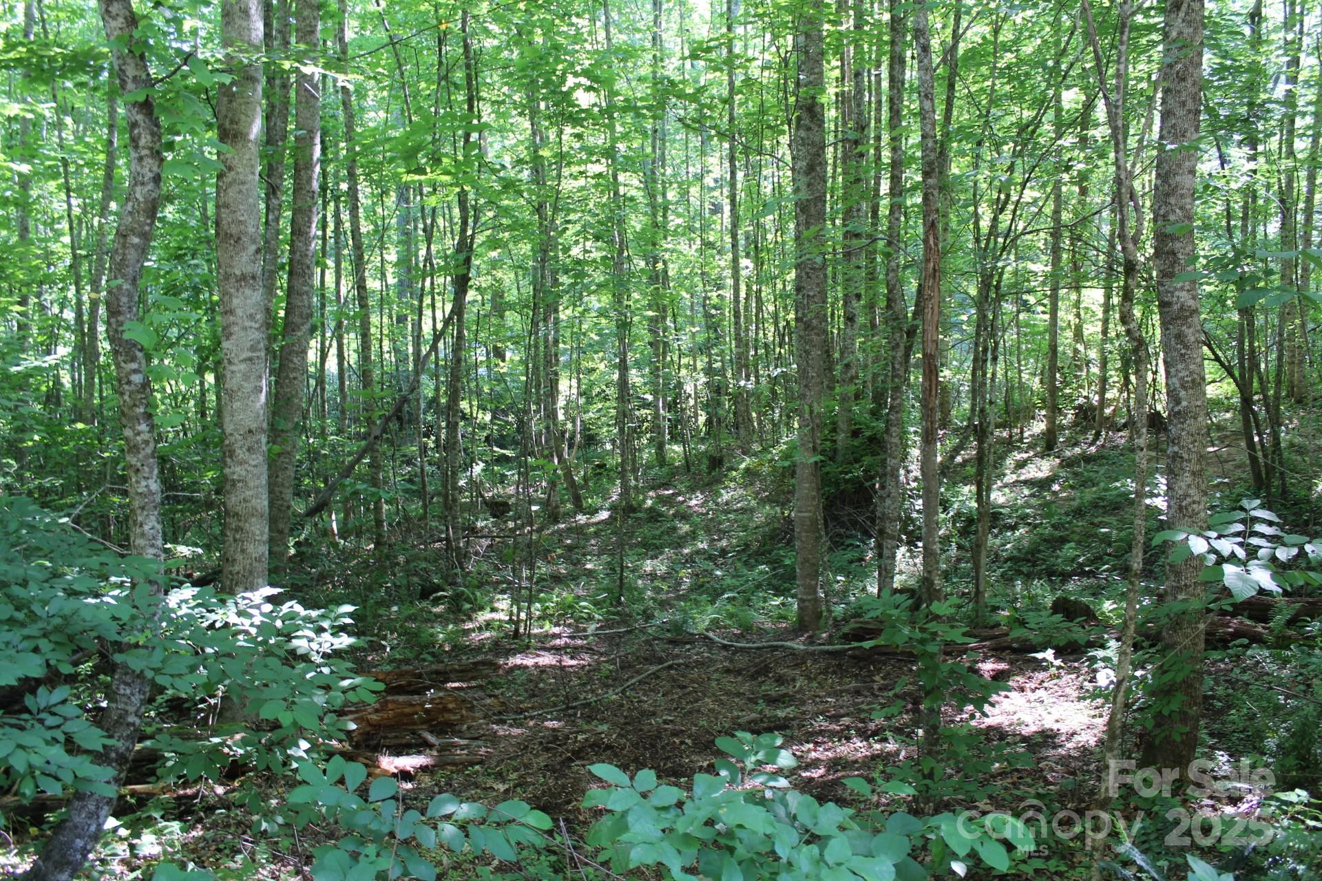 14 Long Branch Road #14 - Photo 13