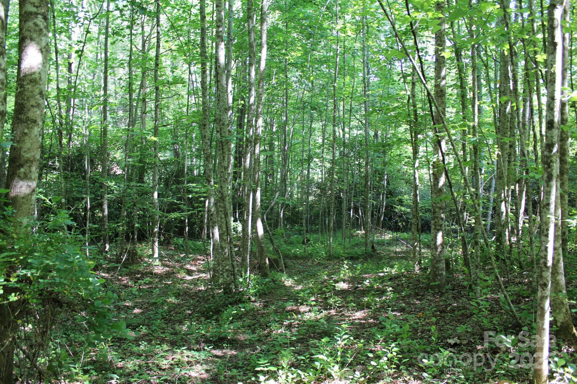 14 Long Branch Road #14 - Photo 14