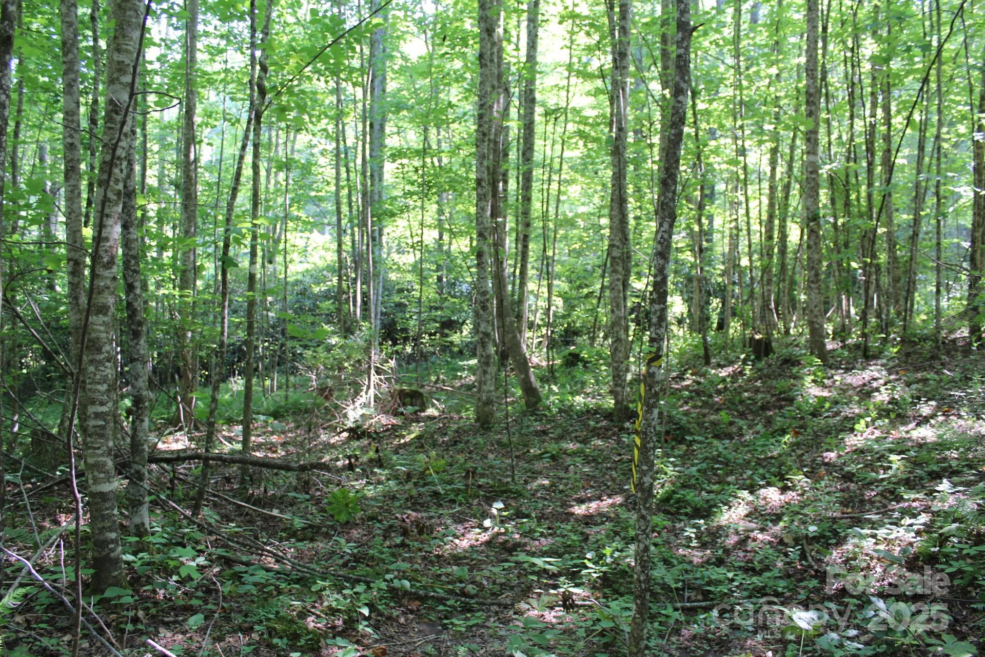 14 Long Branch Road #14 - Photo 15