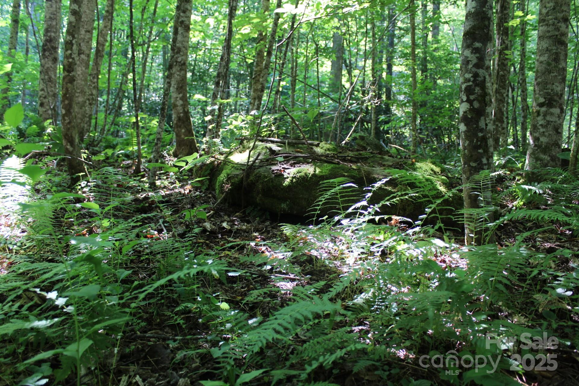 14 Long Branch Road #14 - Photo 16