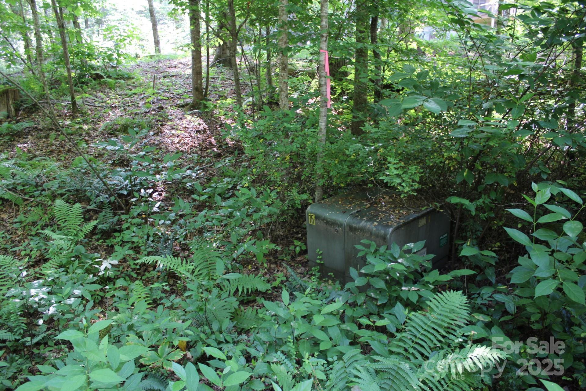 14 Long Branch Road #14 - Photo 17