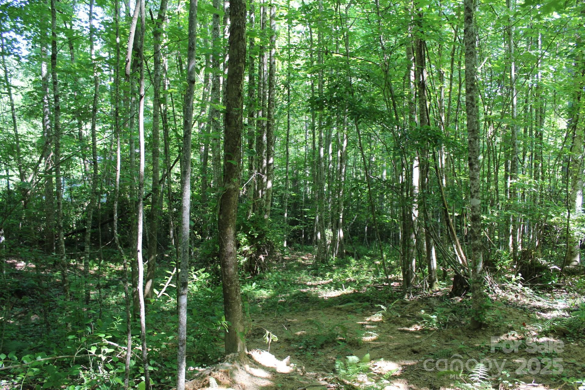 14 Long Branch Road #14 - Photo 21