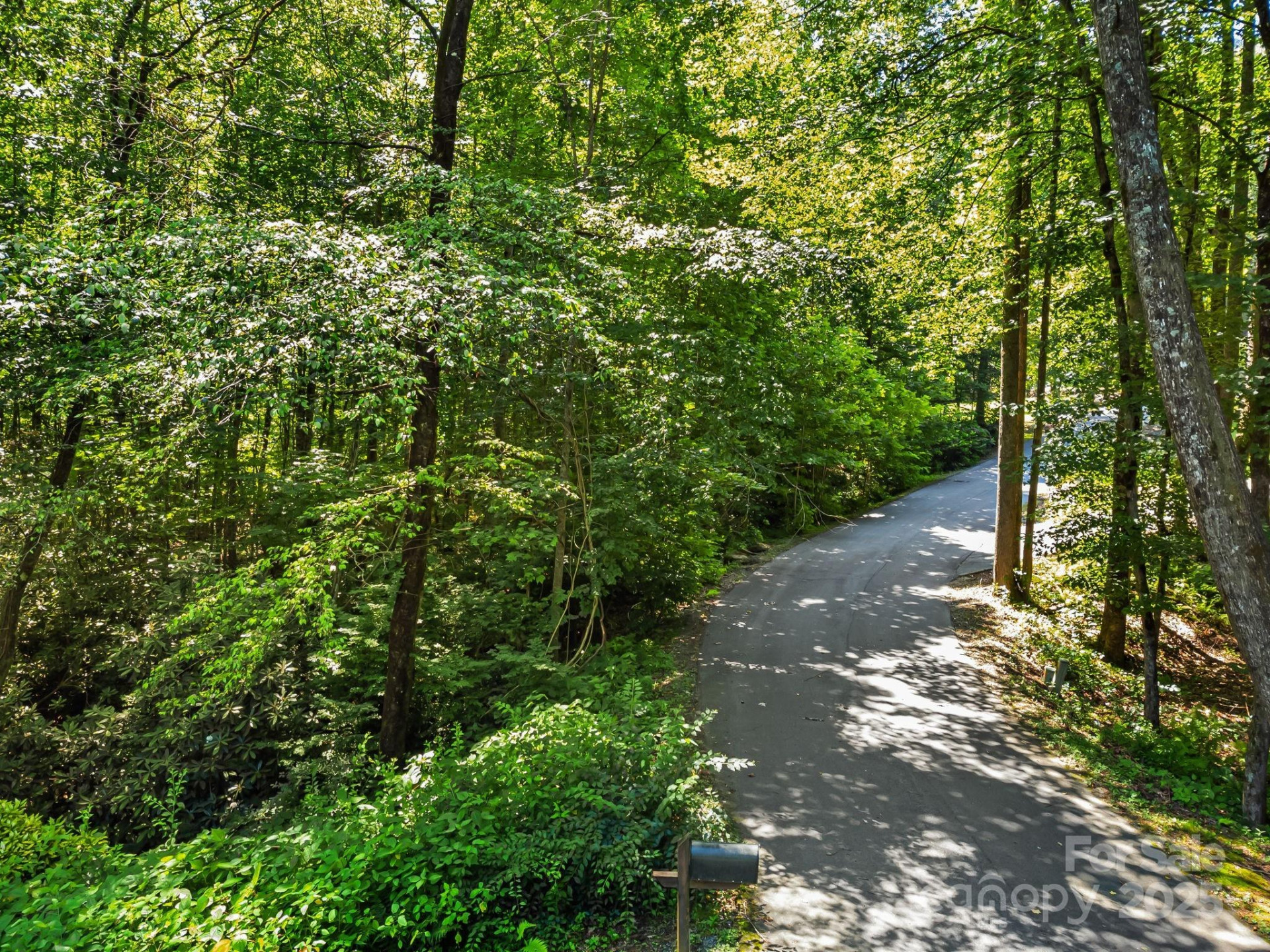 14 Long Branch Road #14 - Photo 4