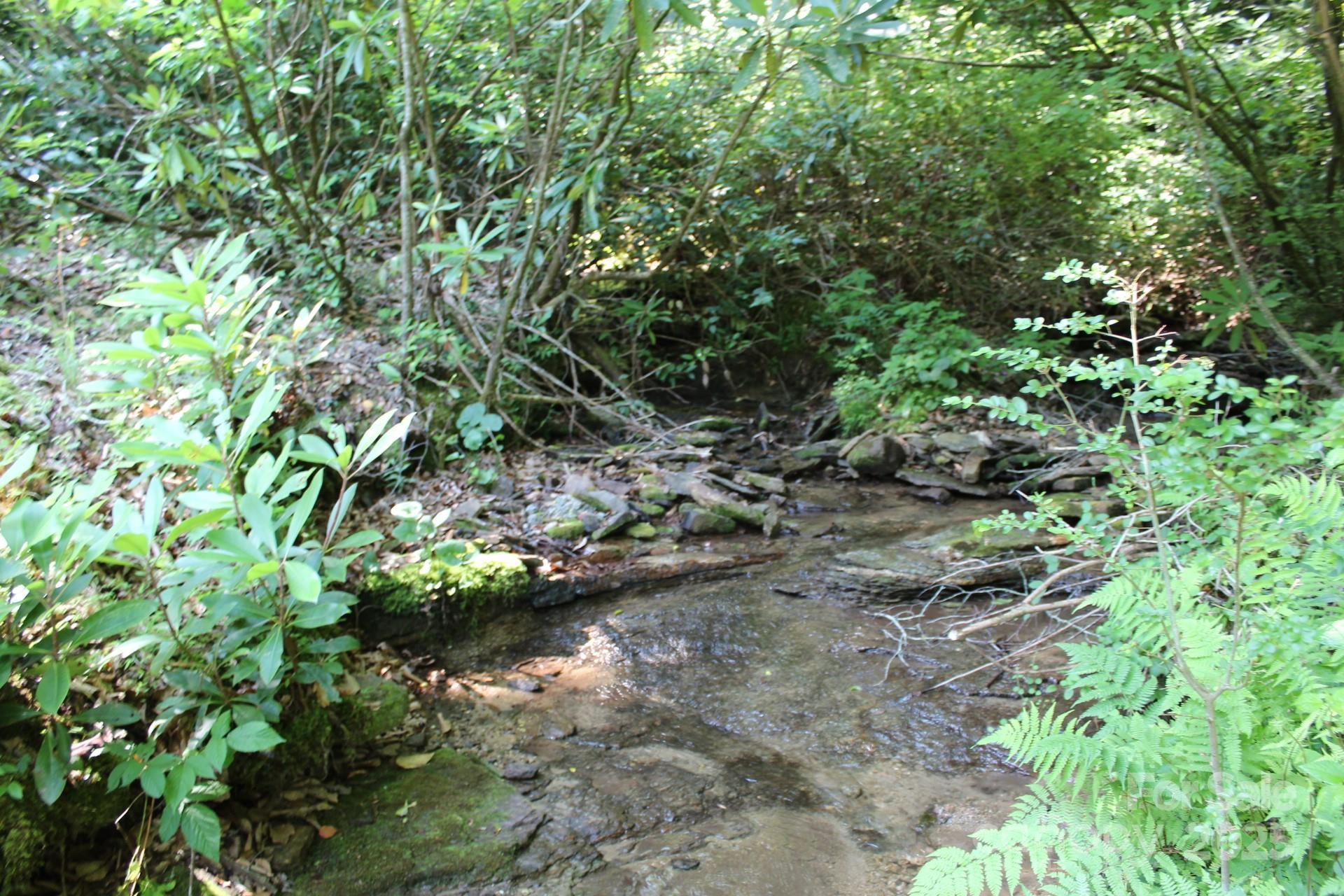 14 Long Branch Road #14 - Photo 7