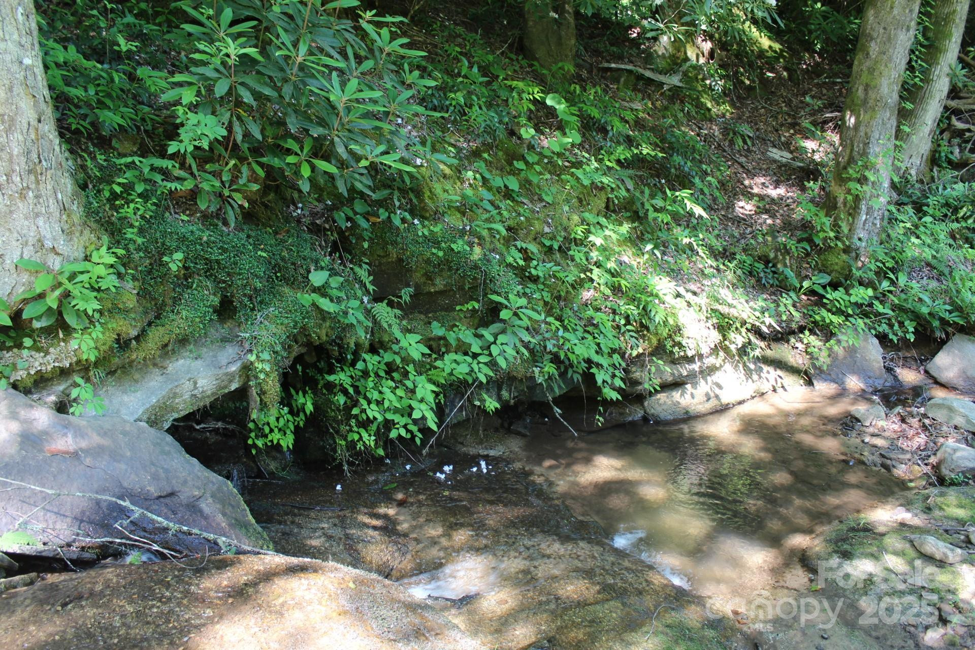 14 Long Branch Road #14 - Photo 8