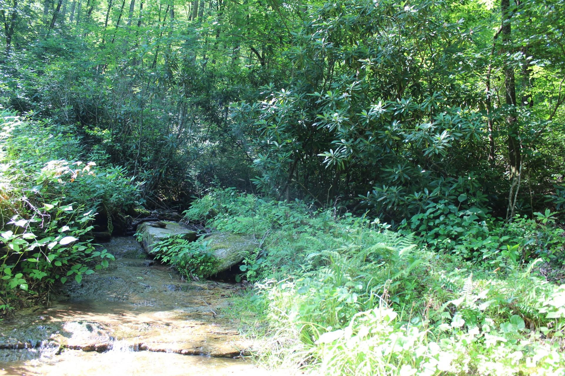 14 Long Branch Road #14 - Photo 9