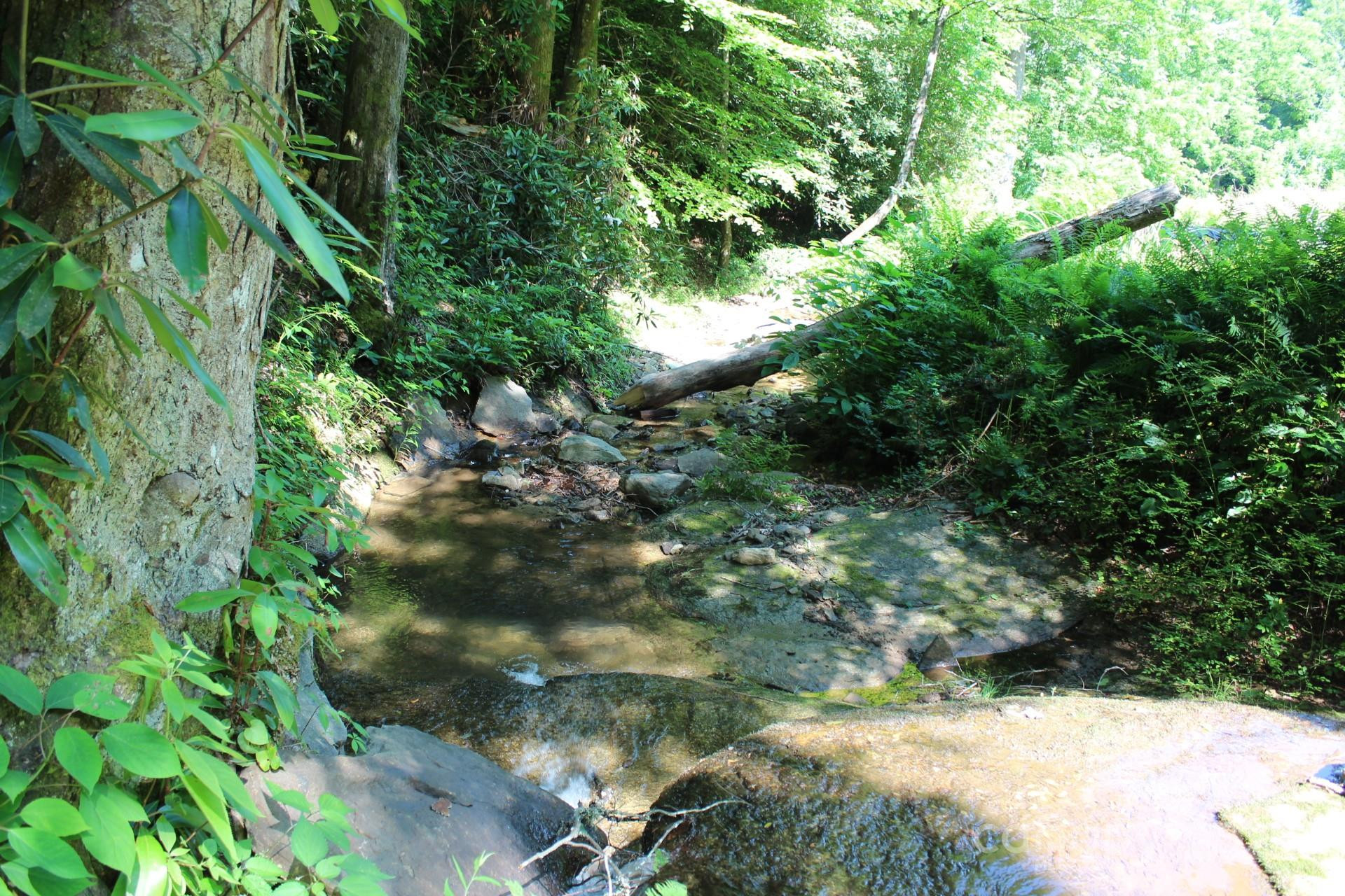 14 Long Branch Road #14 - Photo 10