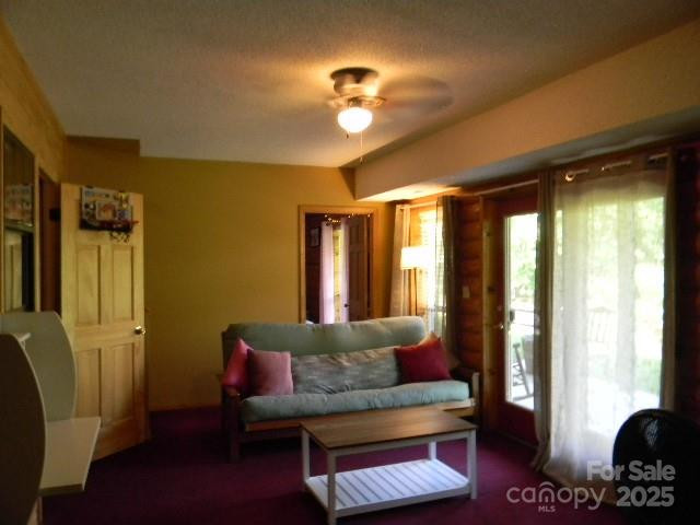 1425 Sorrells Cove Road - Photo 14