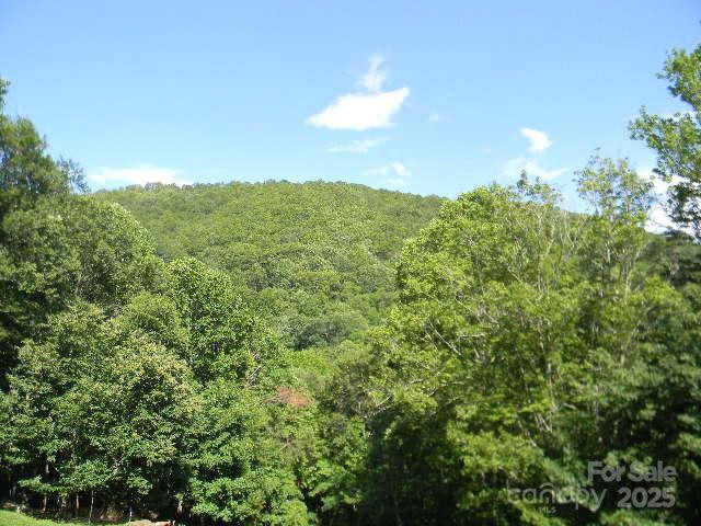 1425 Sorrells Cove Road - Photo 21