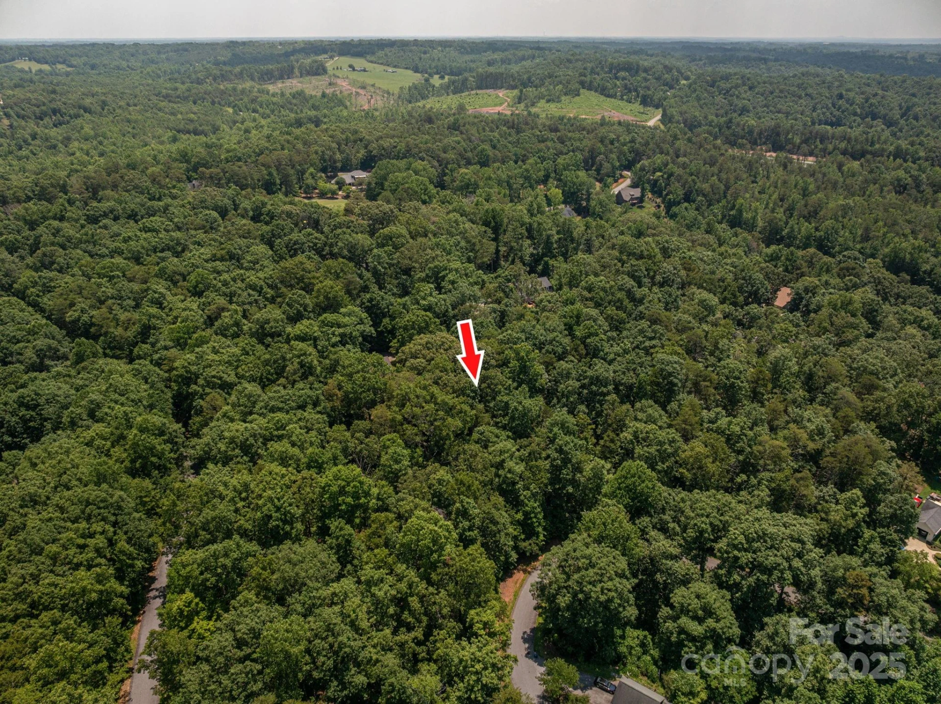 Lot #38 Moss Drive - Photo 4