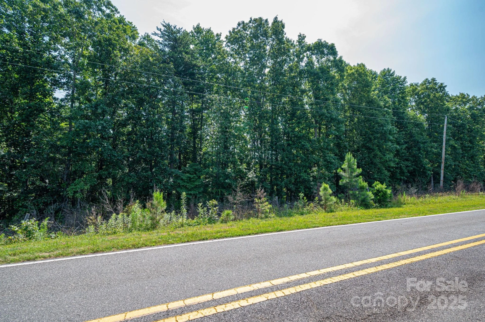 0 Boy Scout Road - Photo 11