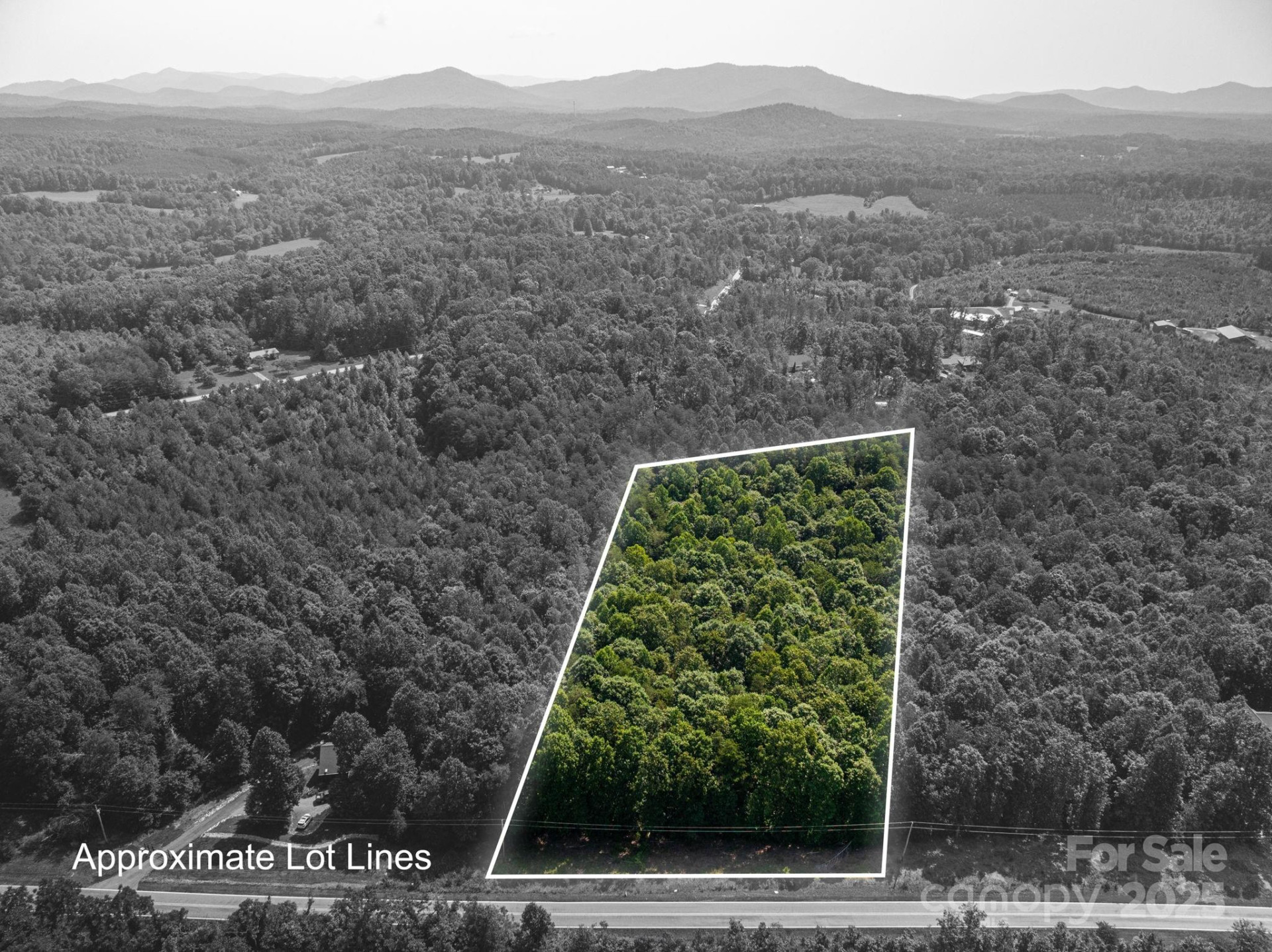 0 Boy Scout Road - Photo 3