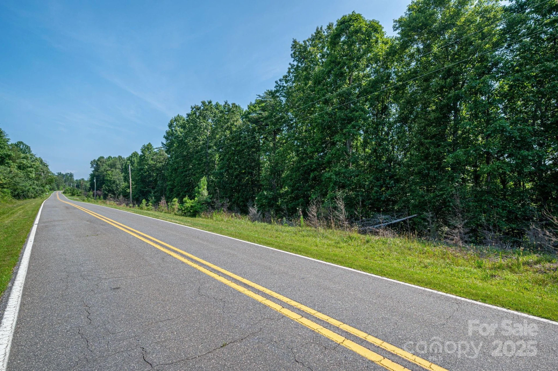 0 Boy Scout Road - Photo 10