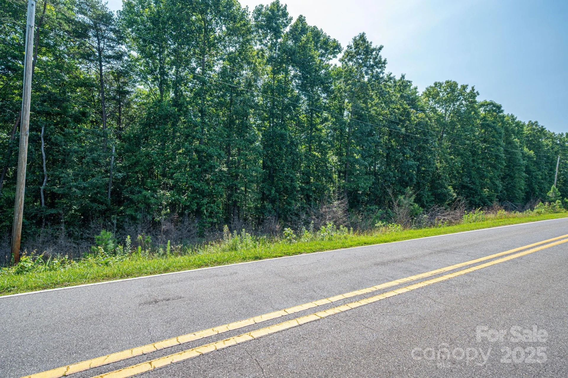 00 Boy Scout Road - Photo 10