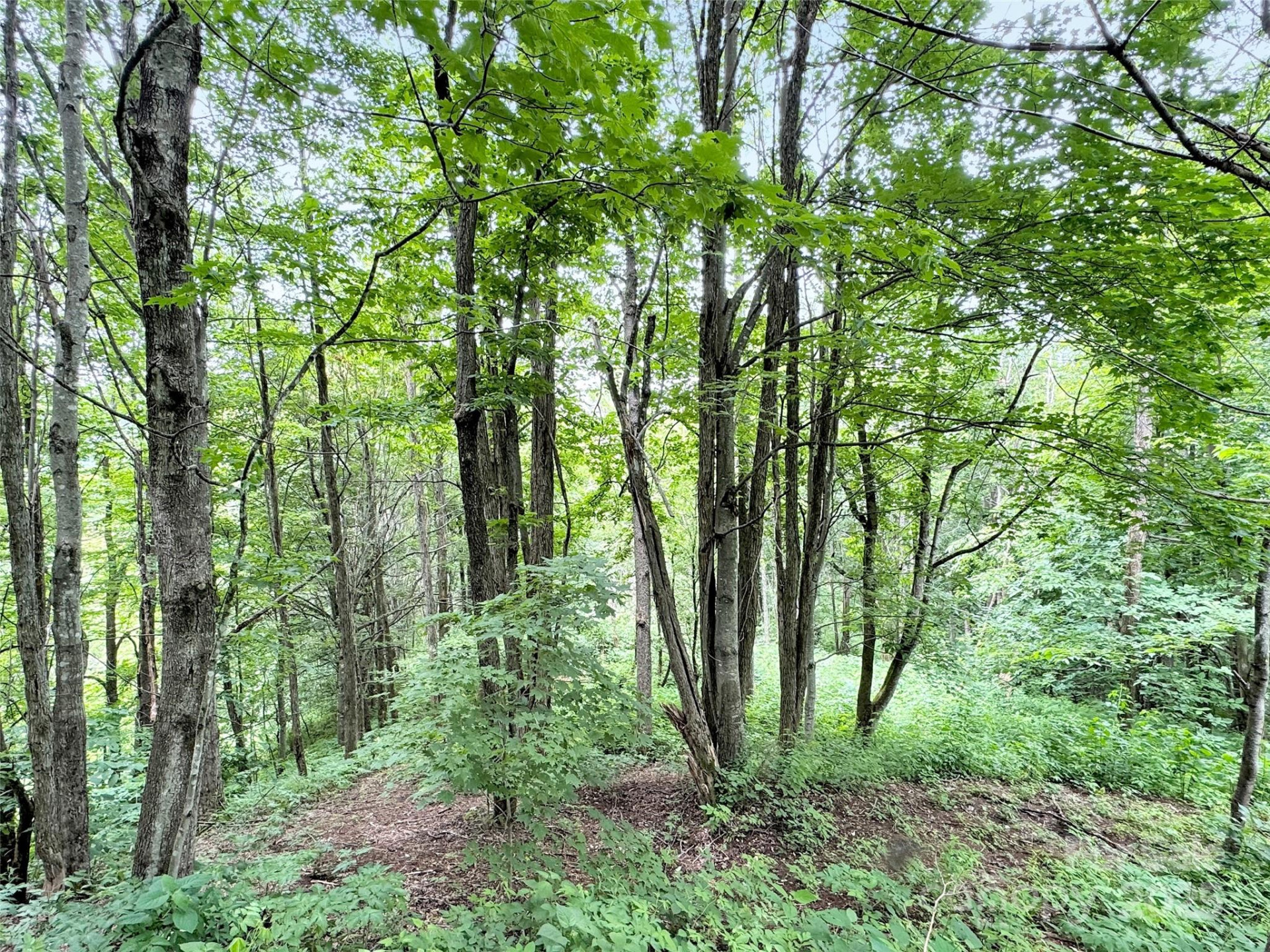 32 Sallywood Trail - Photo 8