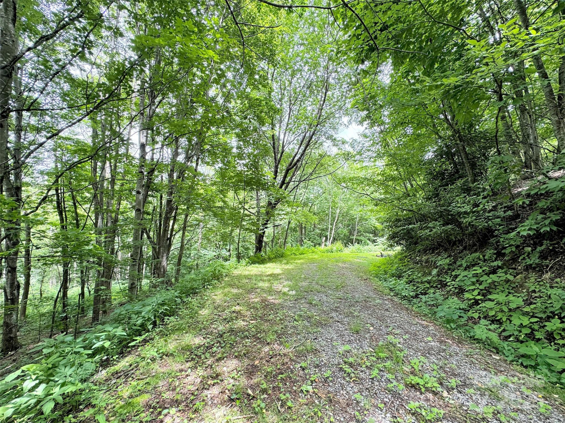 32 Sallywood Trail - Photo 9