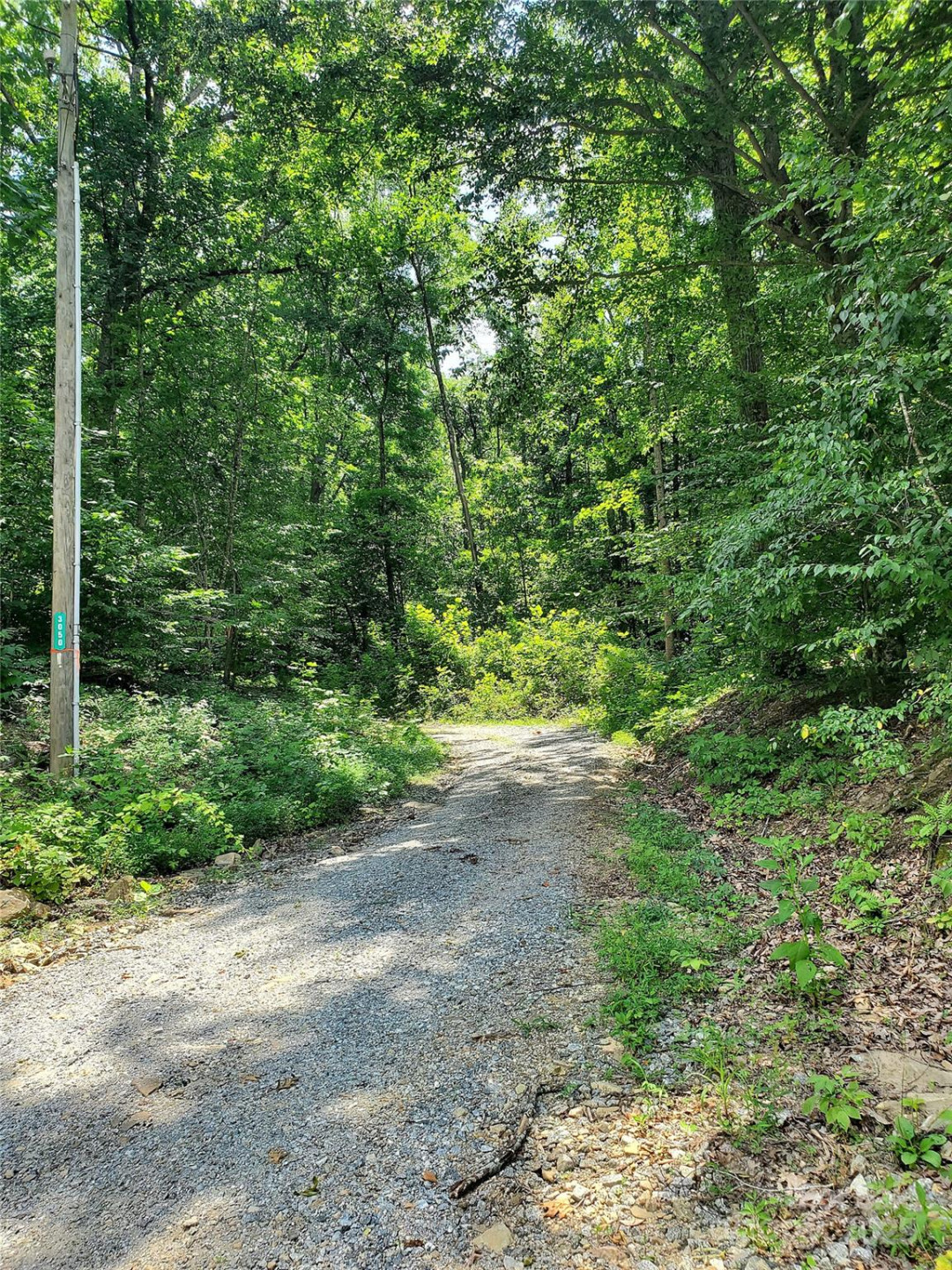 000 Green River Cove Road - Photo 12