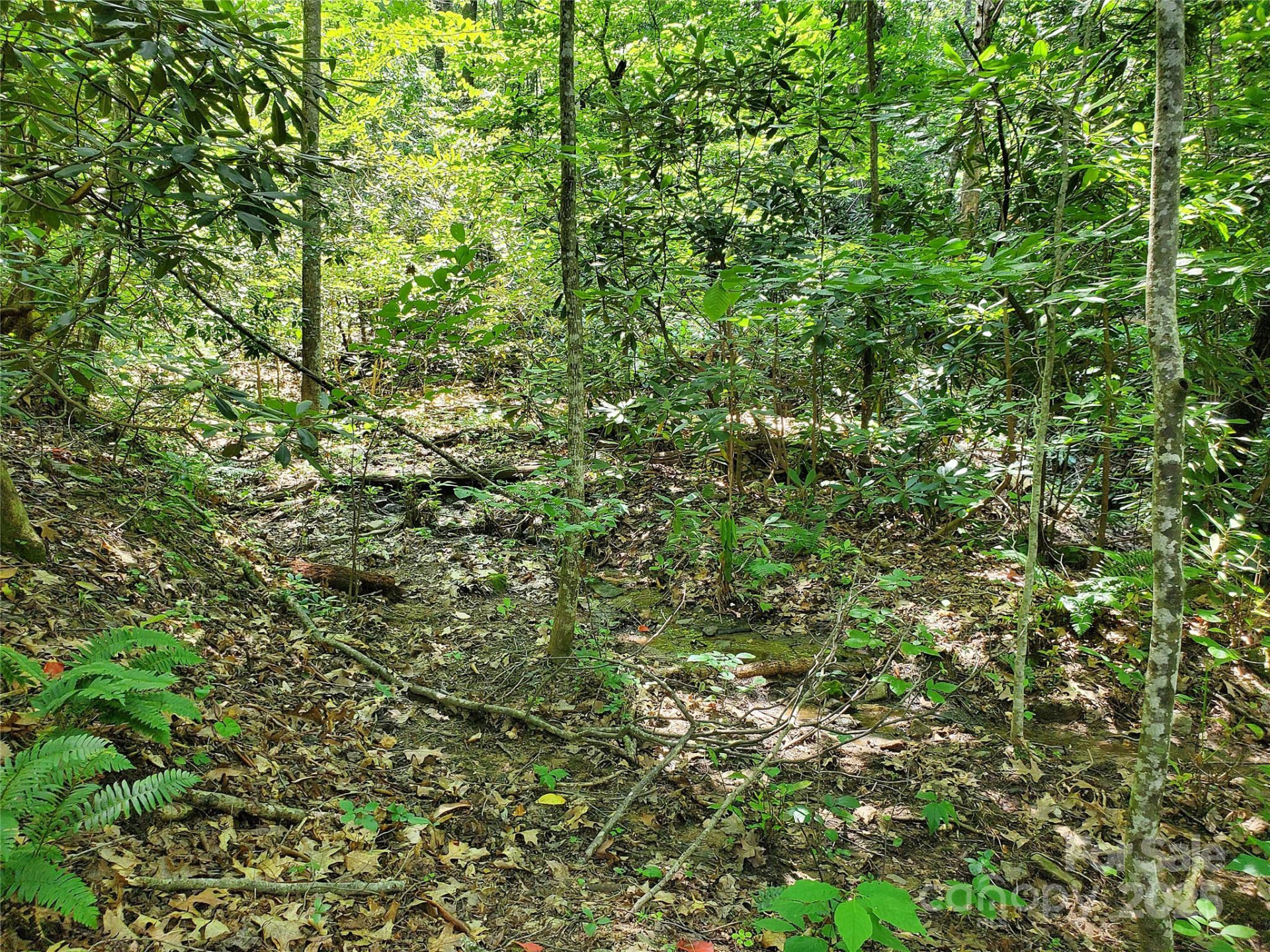 000 Green River Cove Road - Photo 13