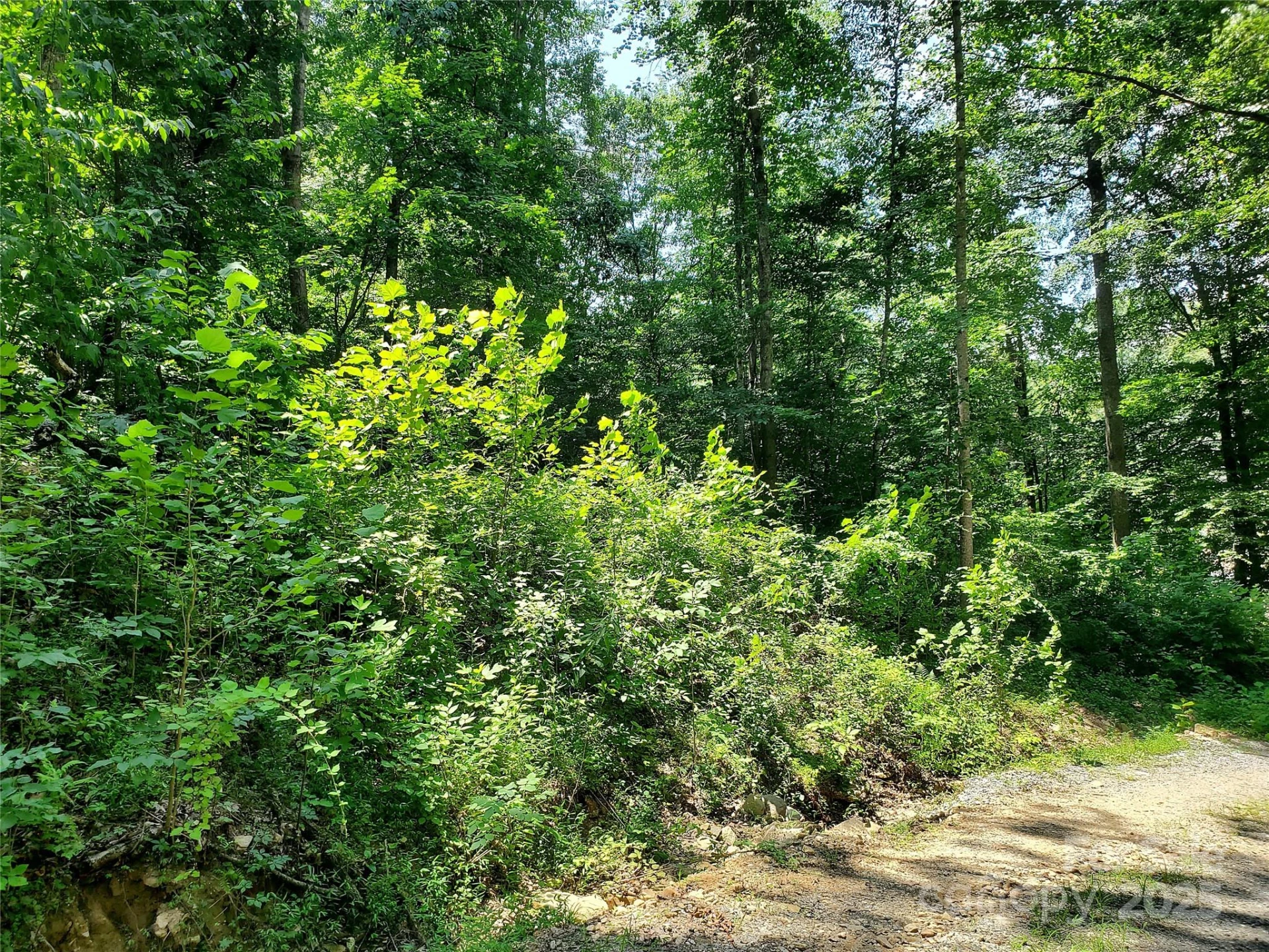 000 Green River Cove Road - Photo 14