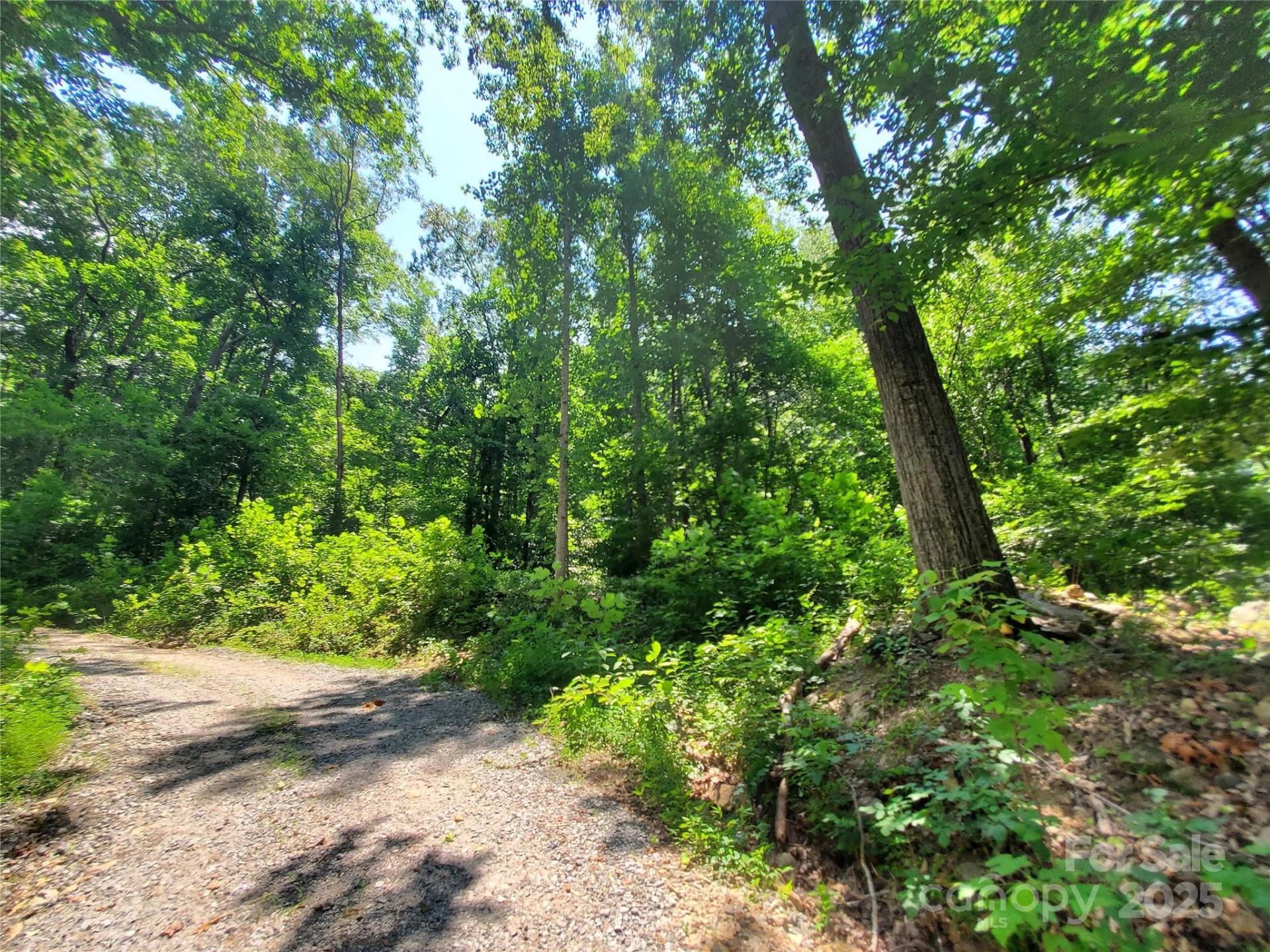 000 Green River Cove Road - Photo 15