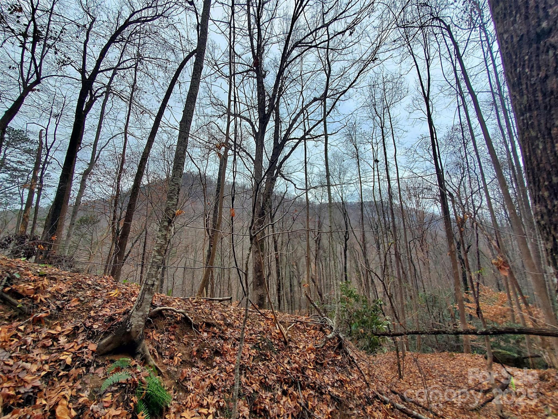 000 Green River Cove Road - Photo 23