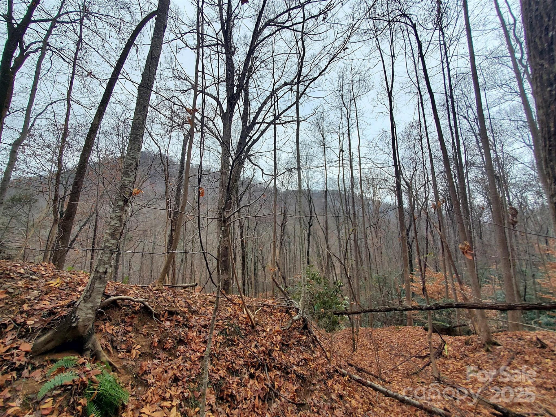 000 Green River Cove Road - Photo 24