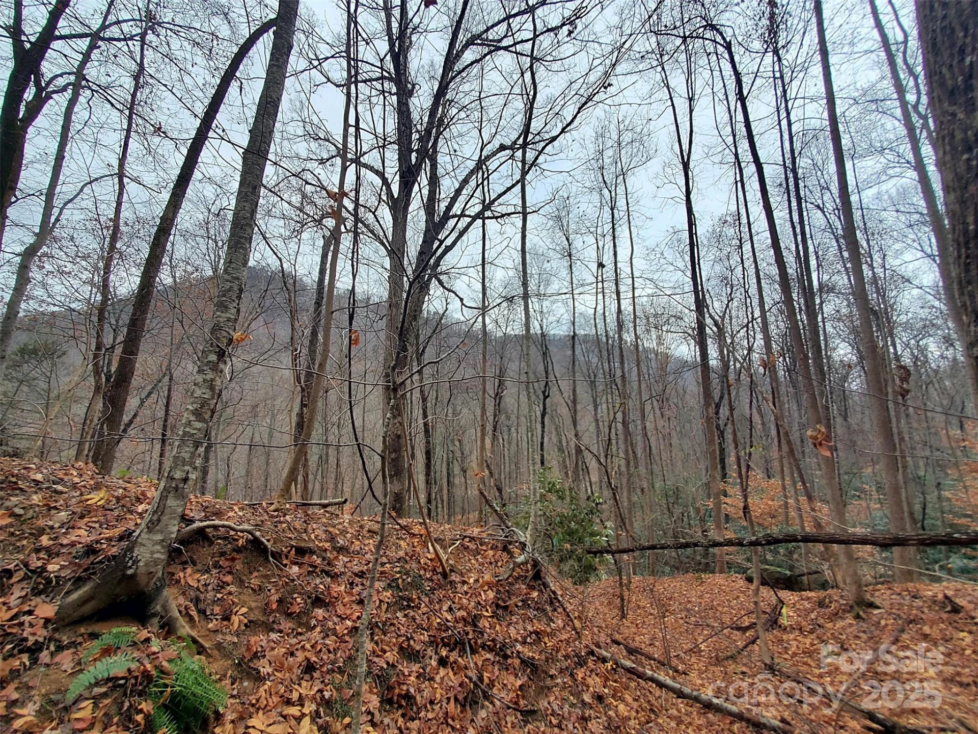 000 Green River Cove Road - Photo 24