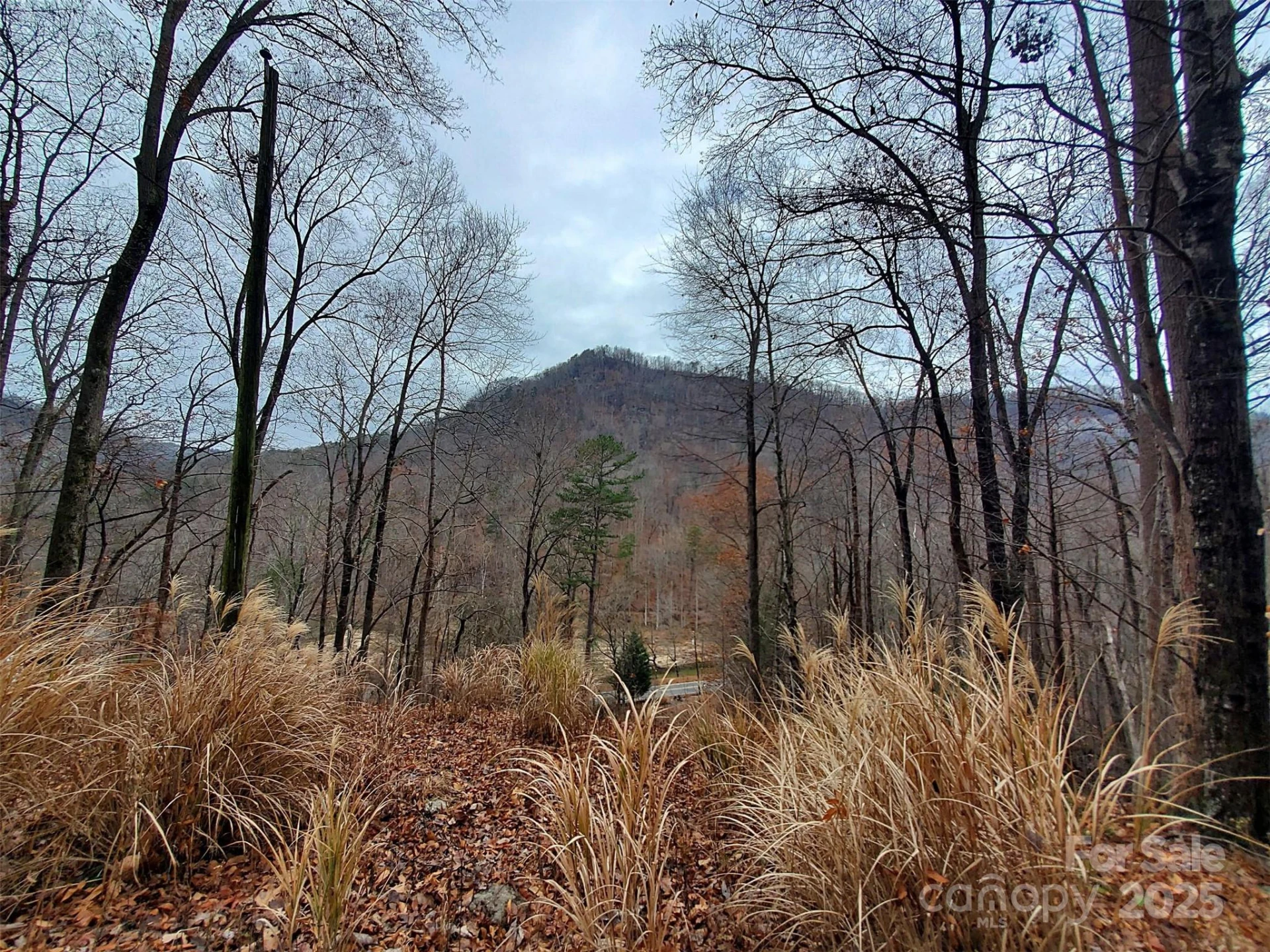 000 Green River Cove Road - Photo 25