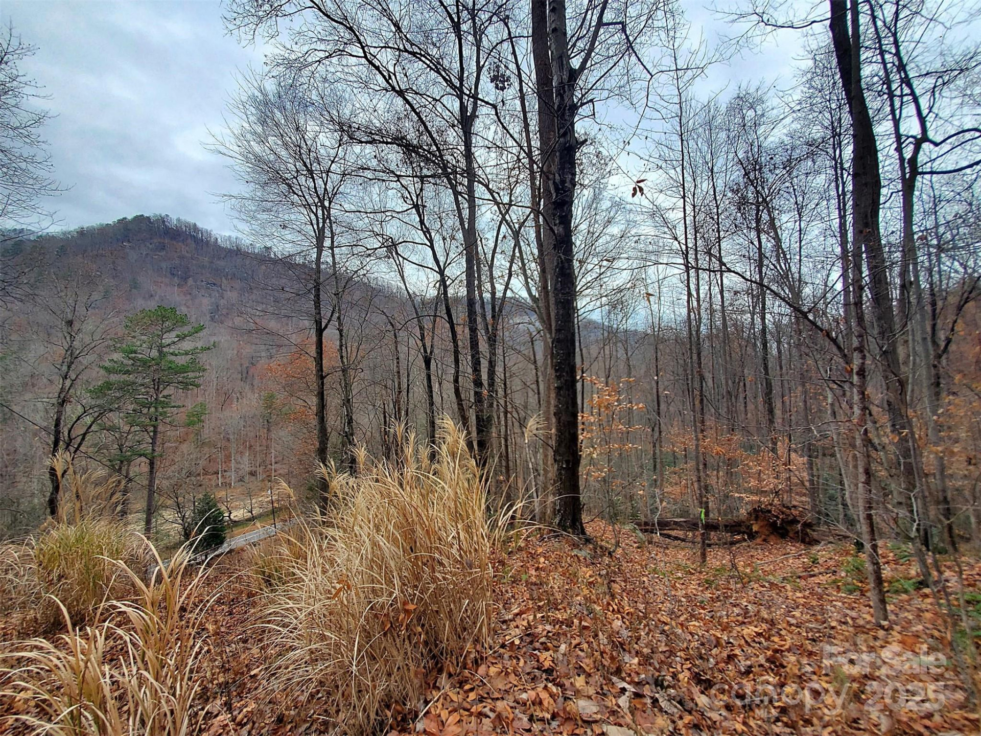 000 Green River Cove Road - Photo 26