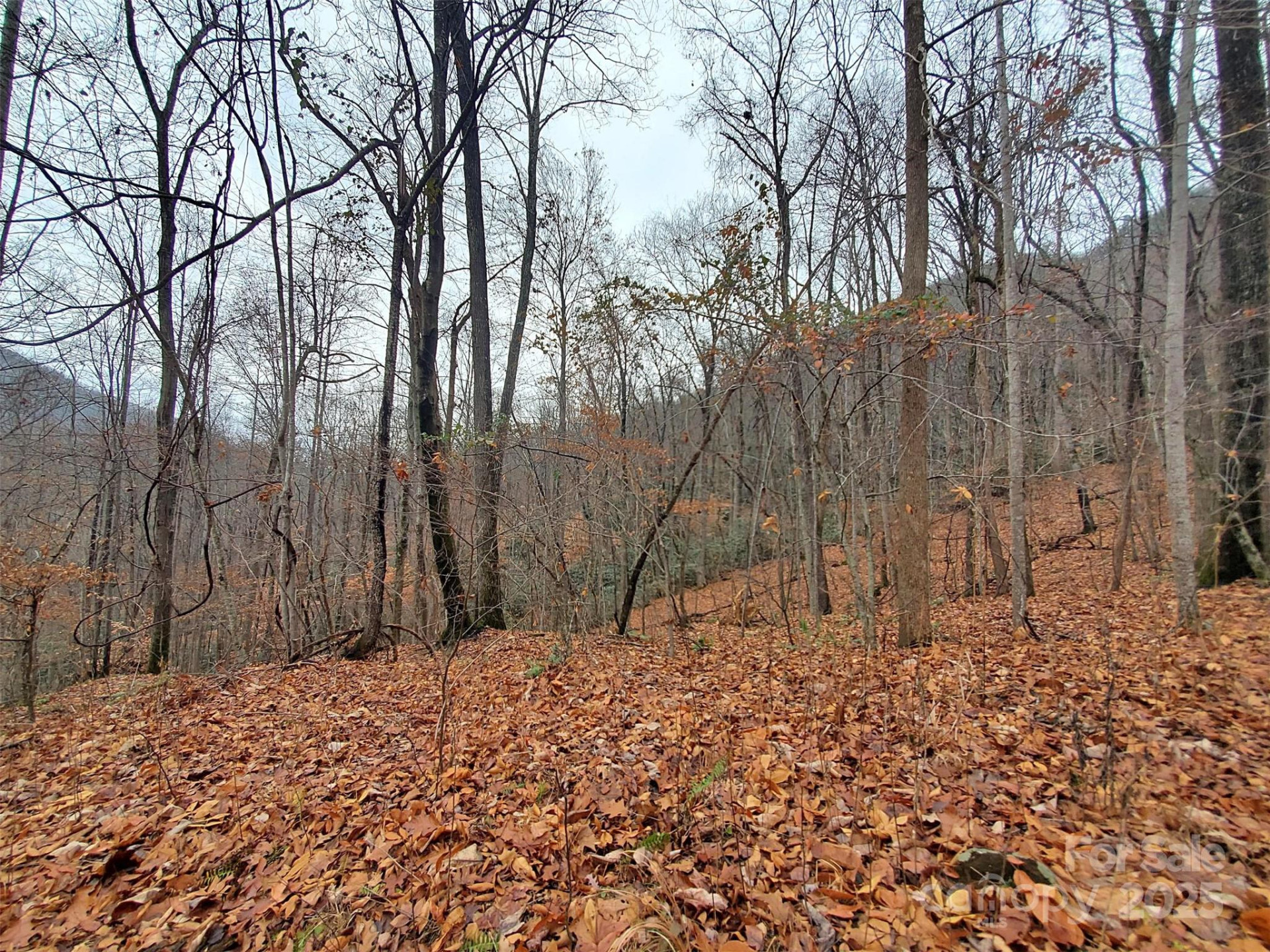 000 Green River Cove Road - Photo 27