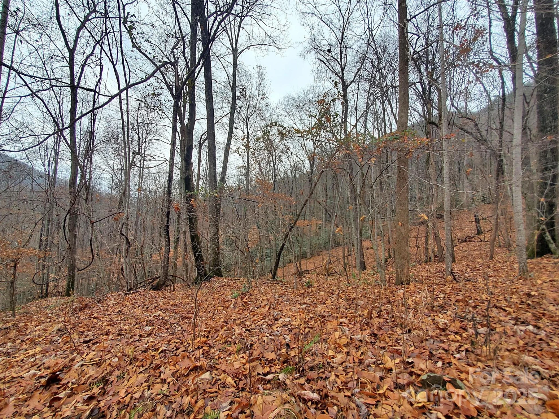 000 Green River Cove Road - Photo 27
