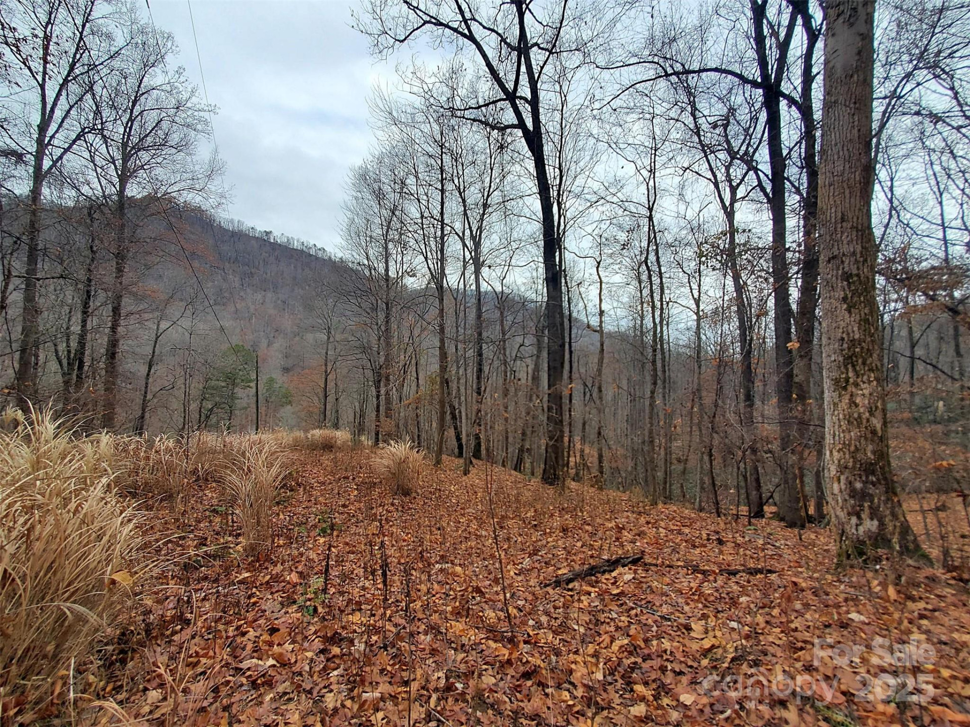 000 Green River Cove Road - Photo 28