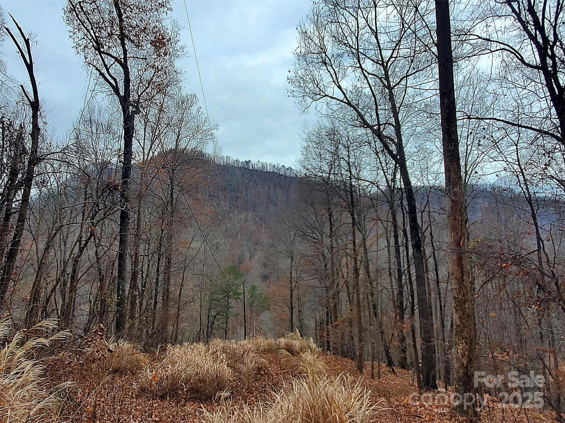 000 Green River Cove Road - Photo 29