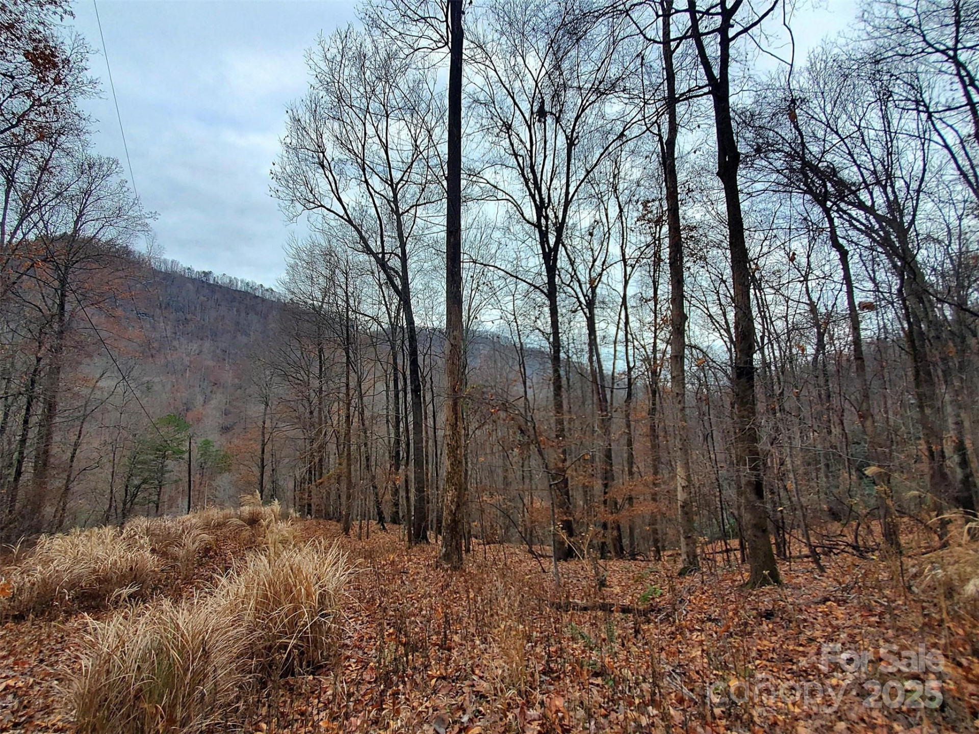 000 Green River Cove Road - Photo 30