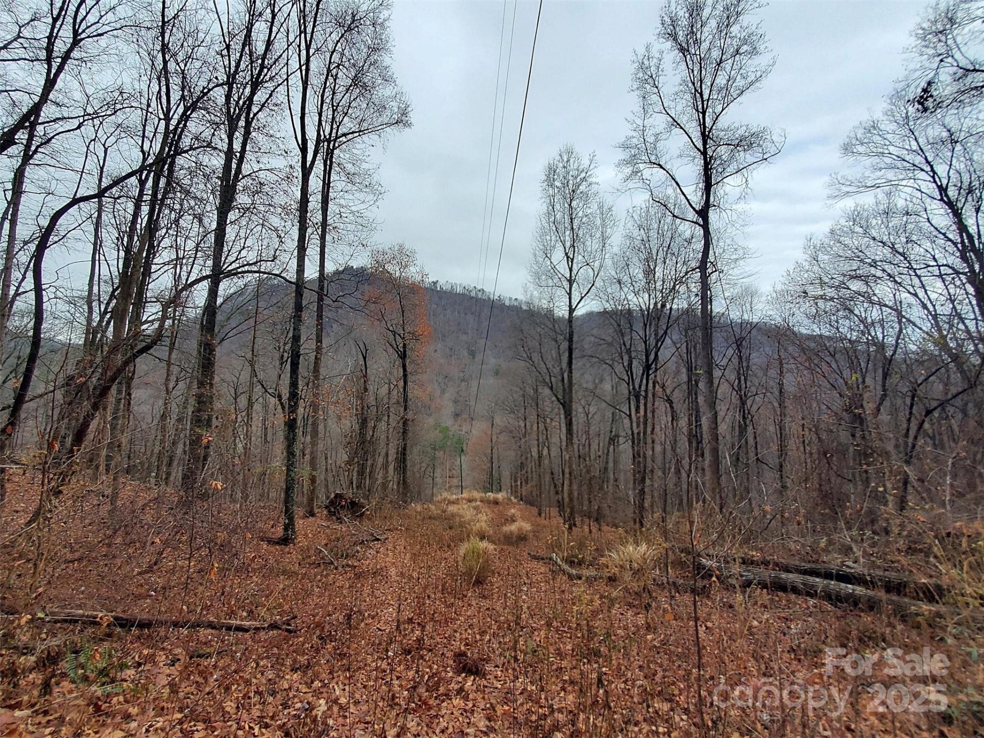 000 Green River Cove Road - Photo 31