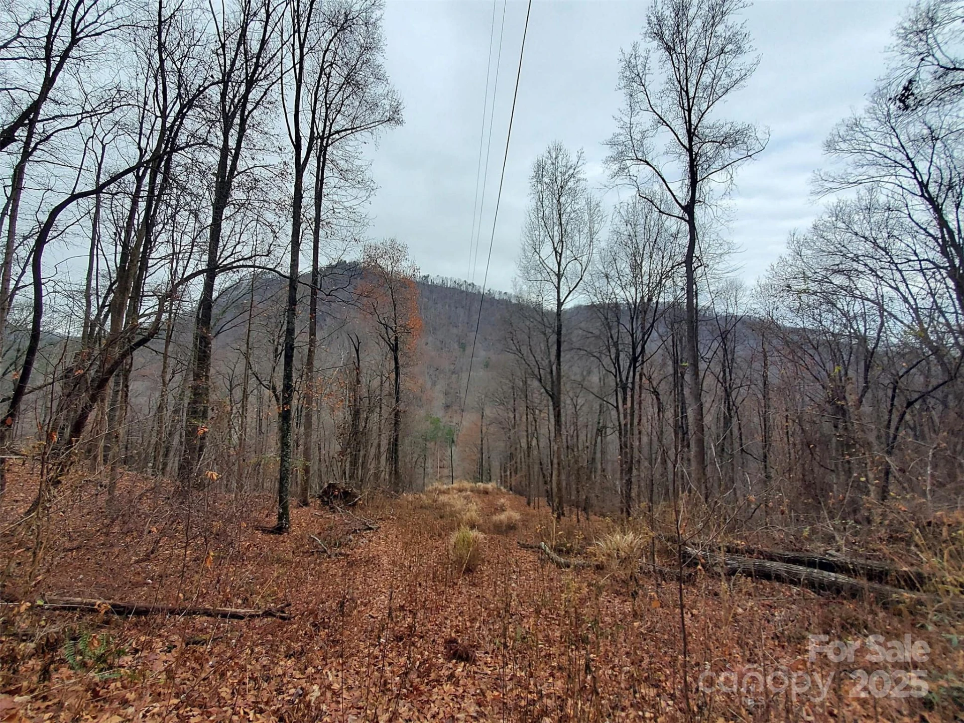 000 Green River Cove Road - Photo 31