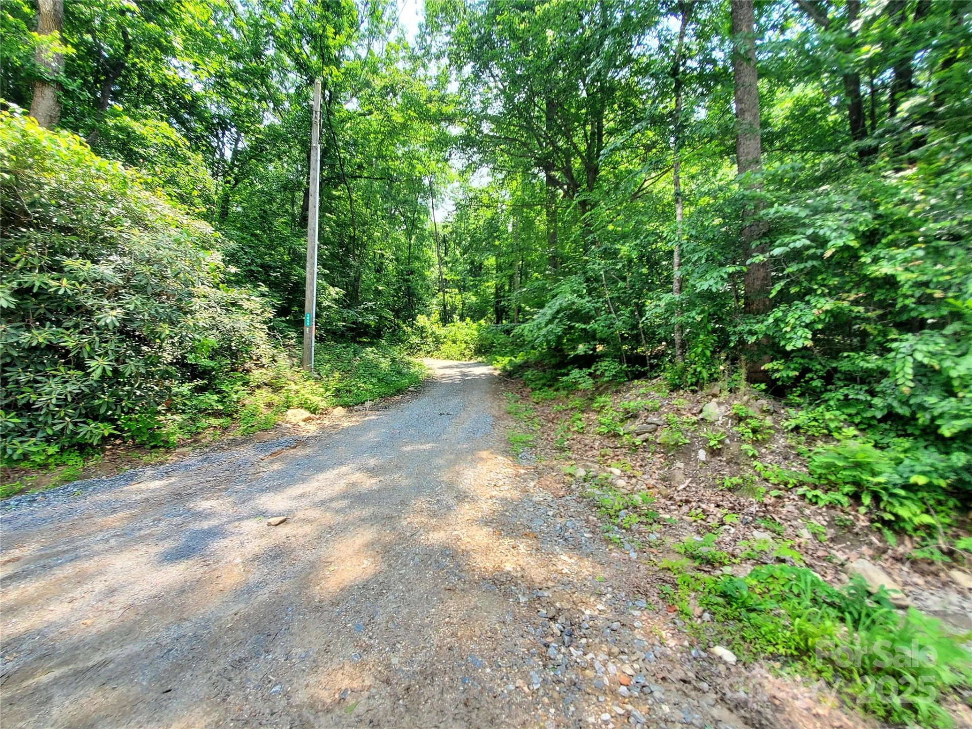 000 Green River Cove Road - Photo 6